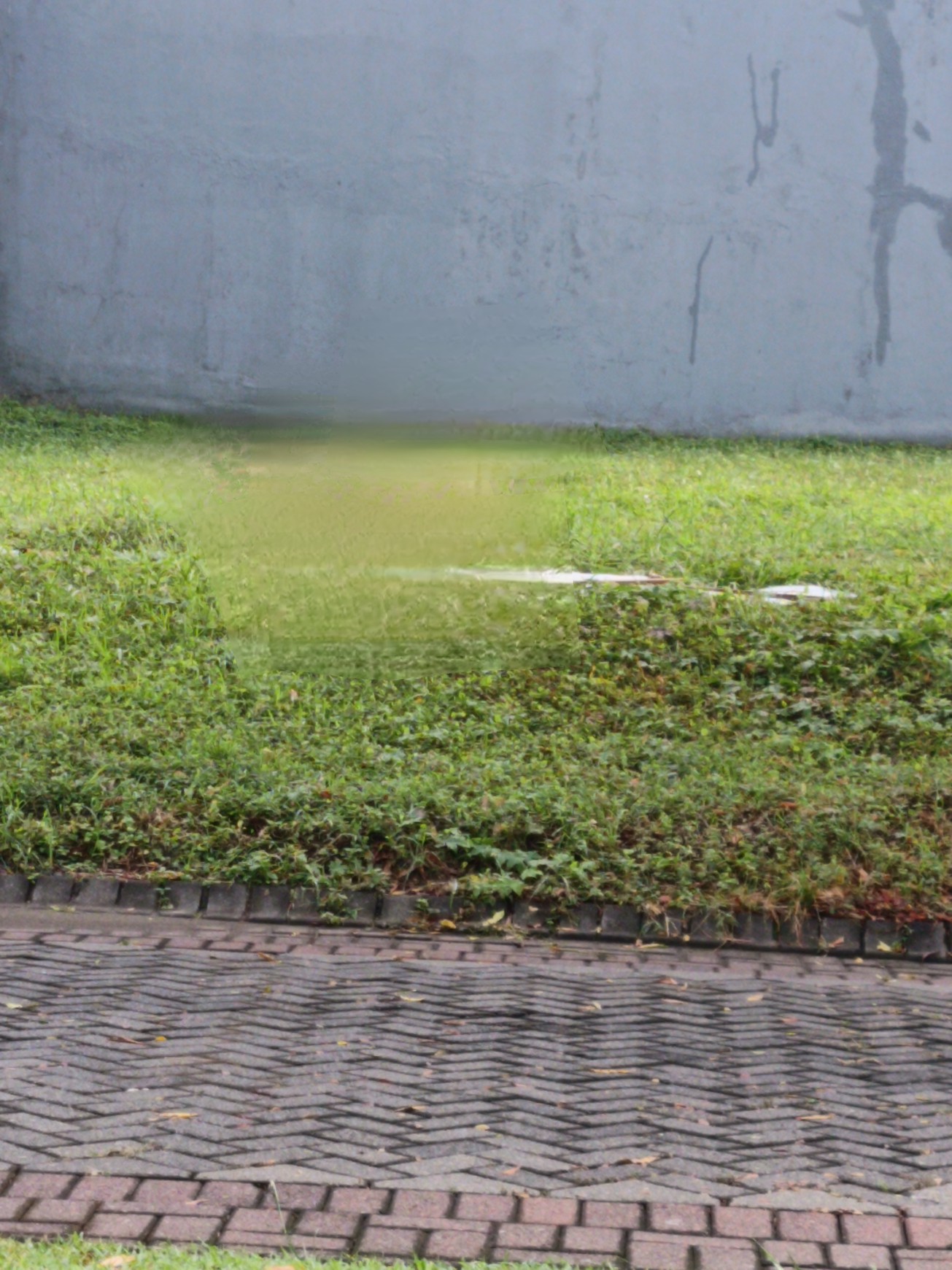 Dijual Kavling Super Langka, Hook Depan Taman Villa Taman Telaga Citraland Surabaya Barat