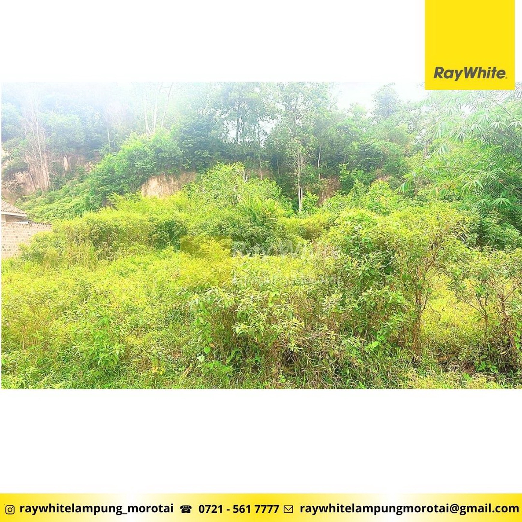 Dijual tanah luas