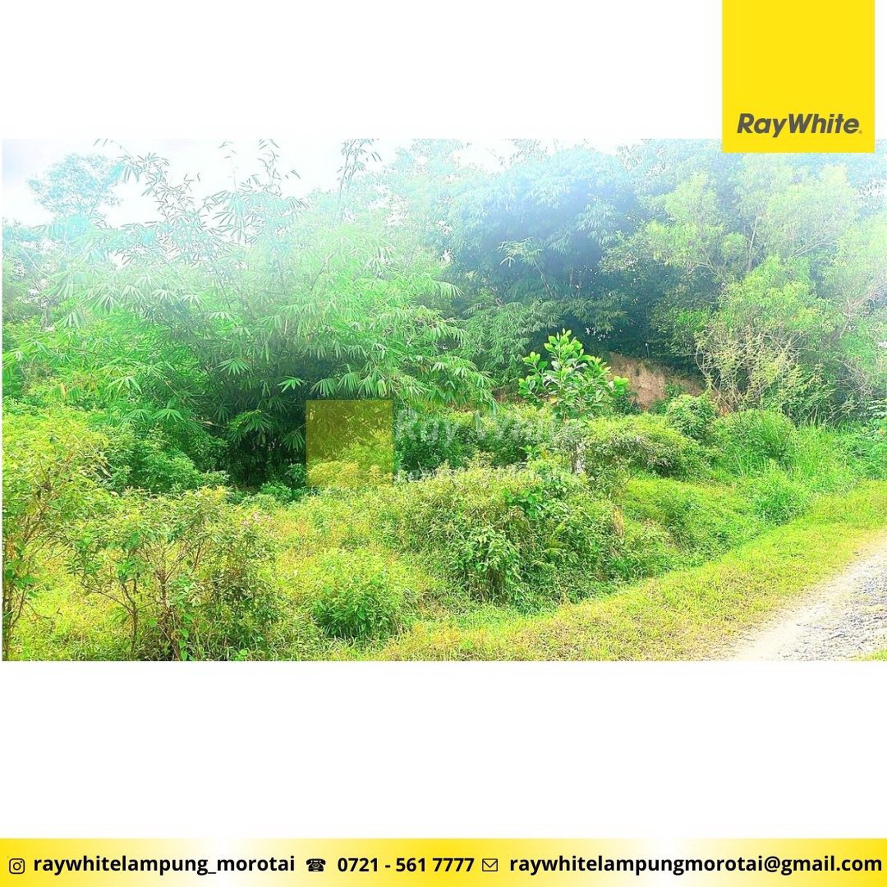 Dijual tanah luas