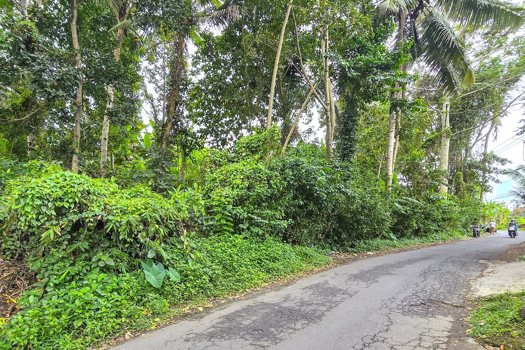 TANAH KAVLING DI TEGALLALANG, UBUD, BALI, VIEW TERBAIK TERASERING
