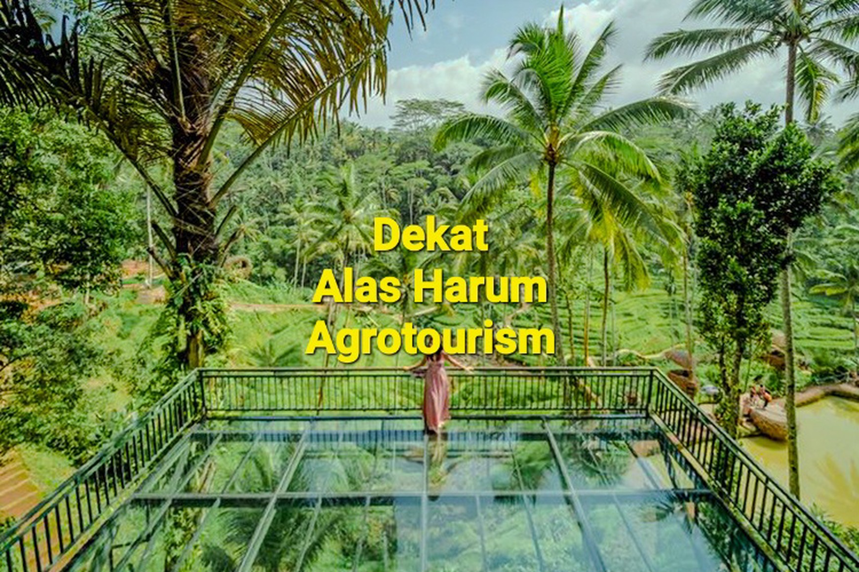 TANAH KAVLING DI TEGALLALANG, UBUD, BALI, VIEW TERBAIK TERASERING