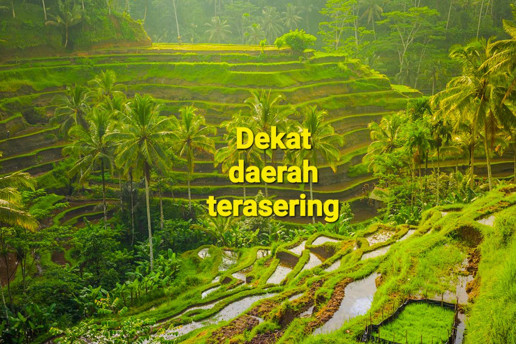 TANAH KAVLING DI TEGALLALANG, UBUD, BALI, VIEW TERBAIK TERASERING