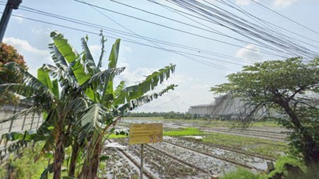 DIJUAL LAHAN INDUSTRI 0 JALAN RAYA, AREA JASEM-NGORO, MOJOKERTO