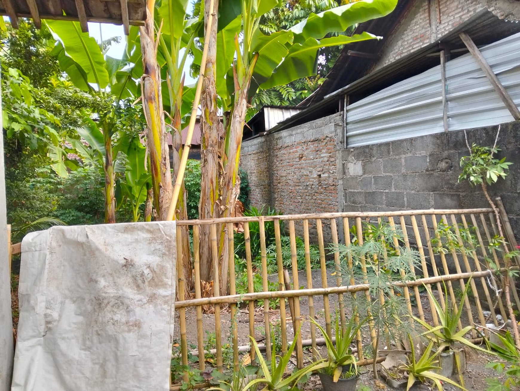 Tanah Dan Rumah Dekat Jalan Parangtritis Km 12 Patalan Jetis Bantul