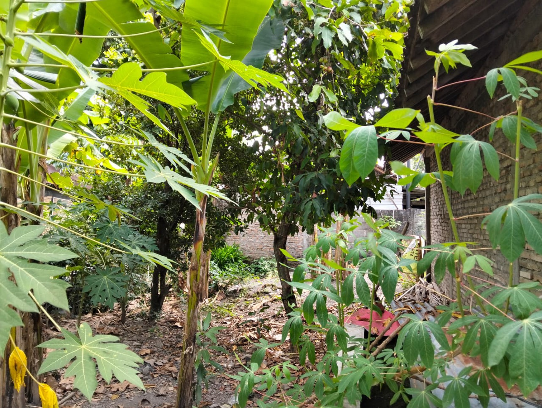 Tanah Dan Rumah Dekat Jalan Parangtritis Km 12 Patalan Jetis Bantul