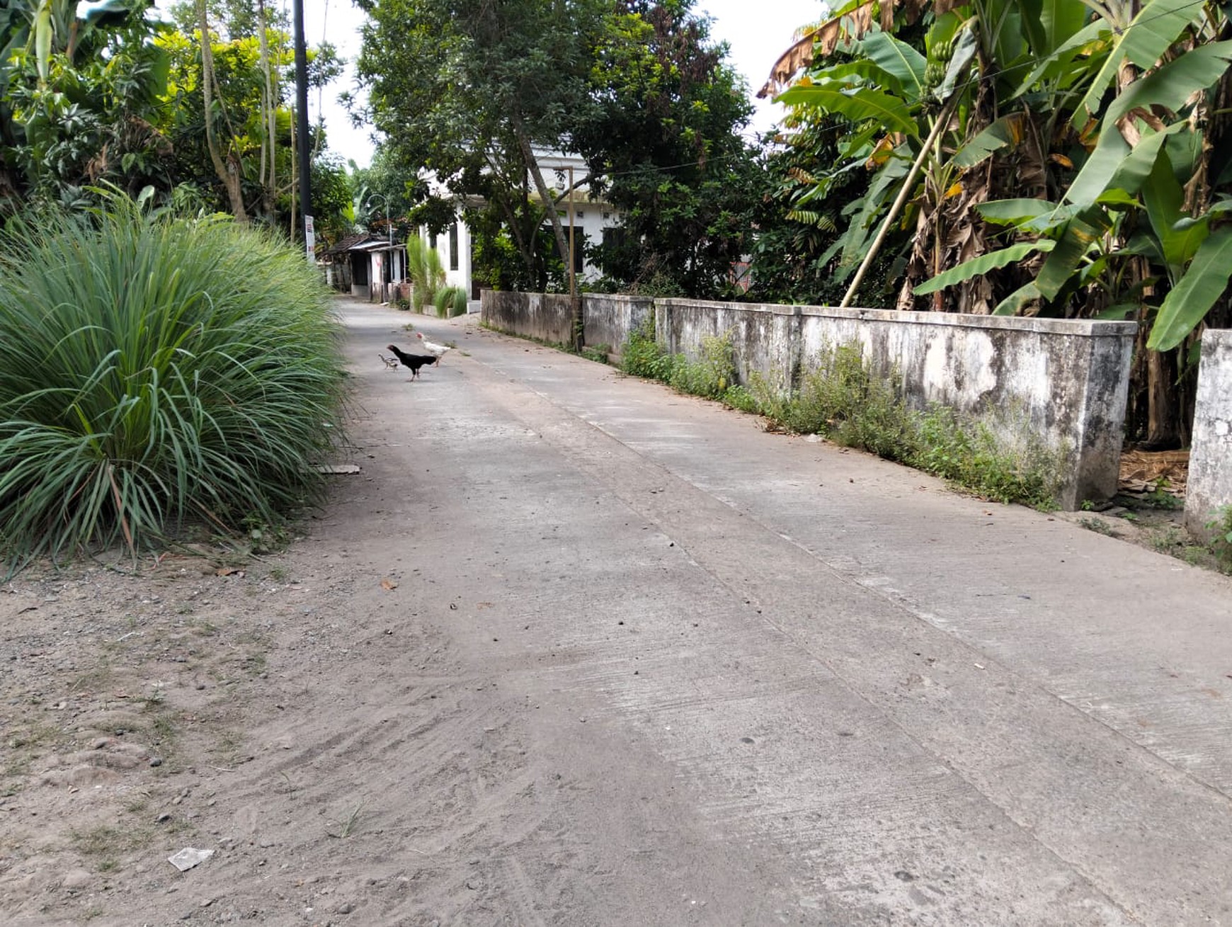 Tanah Dan Rumah Dekat Jalan Parangtritis Km 12 Patalan Jetis Bantul