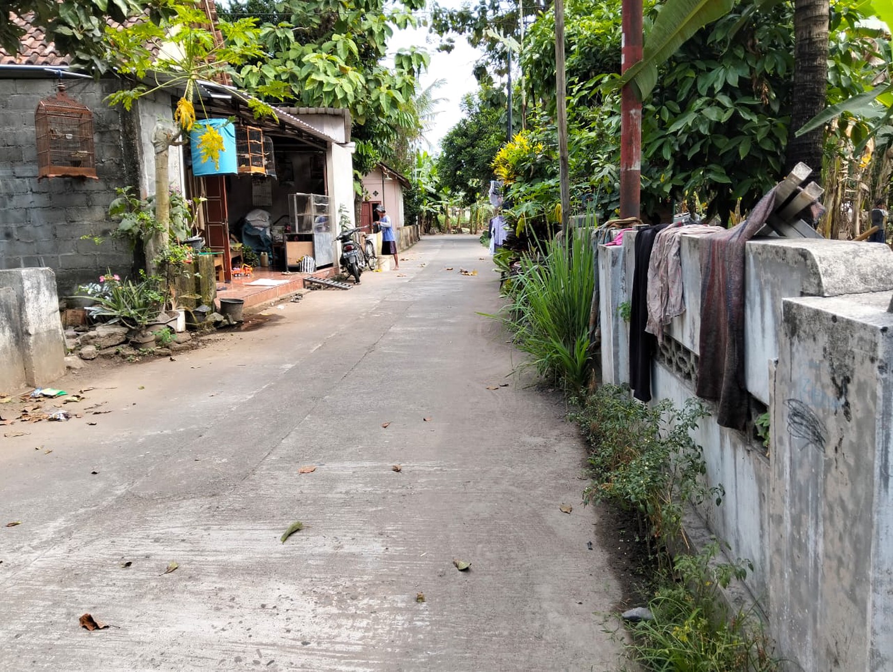 Tanah Dan Rumah Dekat Jalan Parangtritis Km 12 Patalan Jetis Bantul