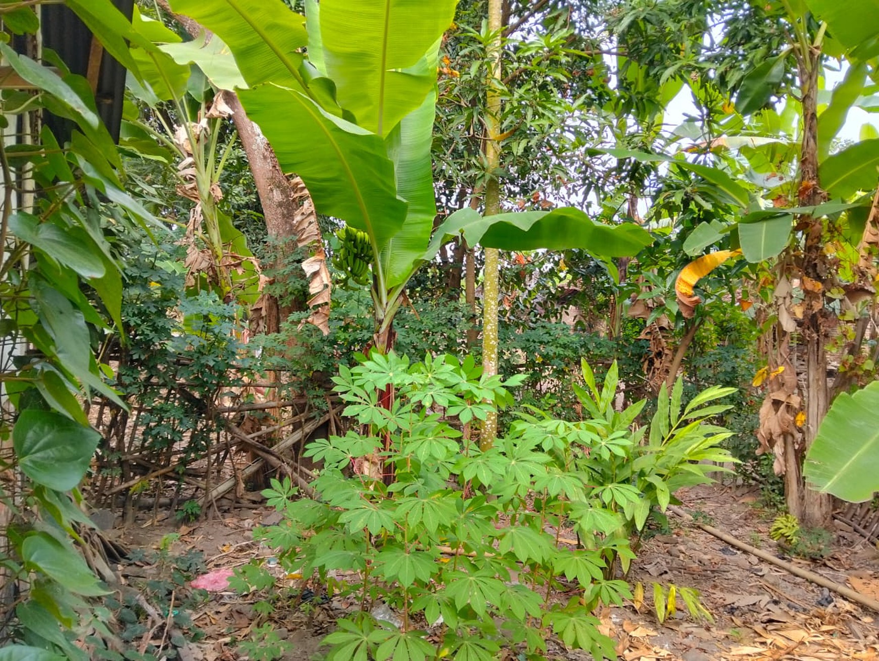 Tanah Dan Rumah Dekat Jalan Parangtritis Km 12 Patalan Jetis Bantul