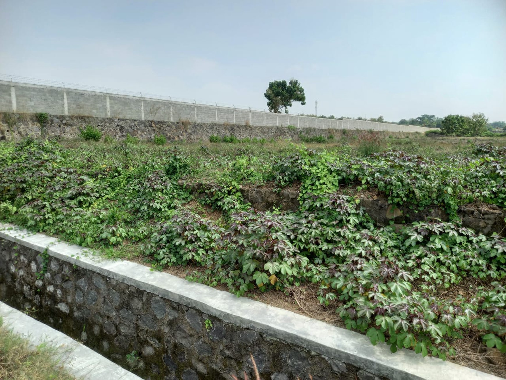 DIJUAL LAHAN KAVLING INDUSTRI DI KAWASAN NGORO INDUSTRIAL PARK