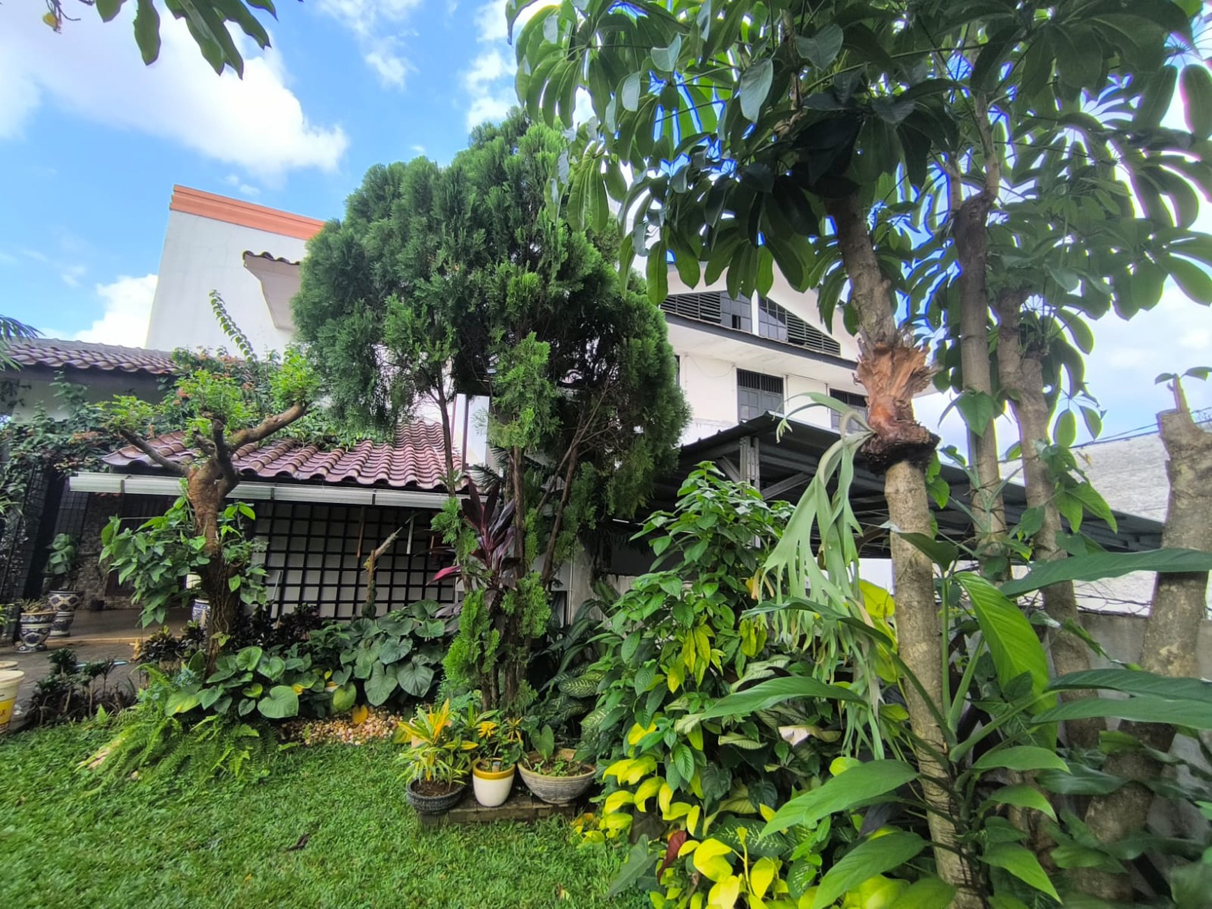 Rumah Jl Waru, Pangkalan Jati, Cipinang Melayu