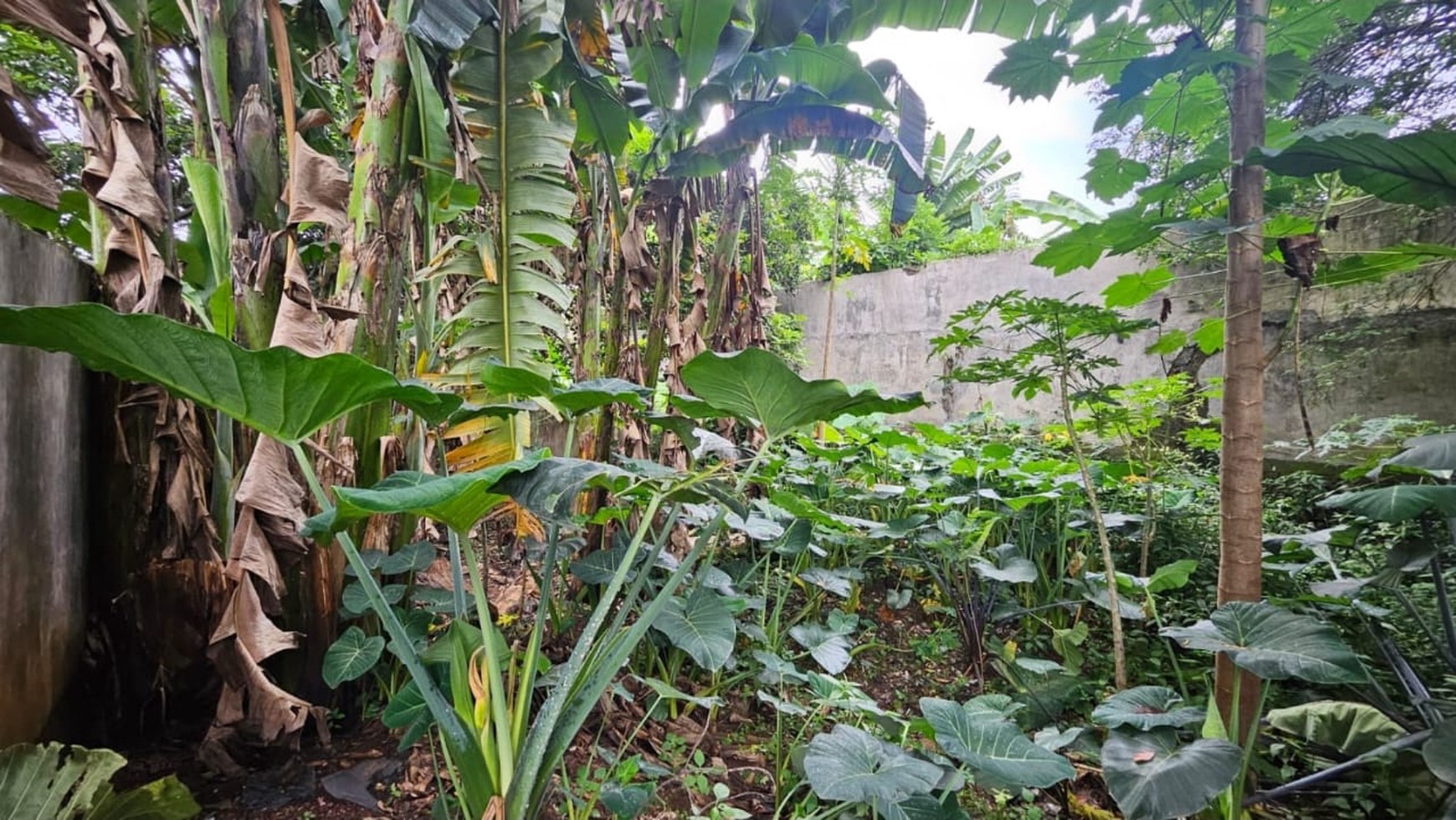 Dijual Lahan Hadap Jalan Raya Di Gunung Sindur dengan Lokasi Strategis cocok Untuk Gudang, Town House