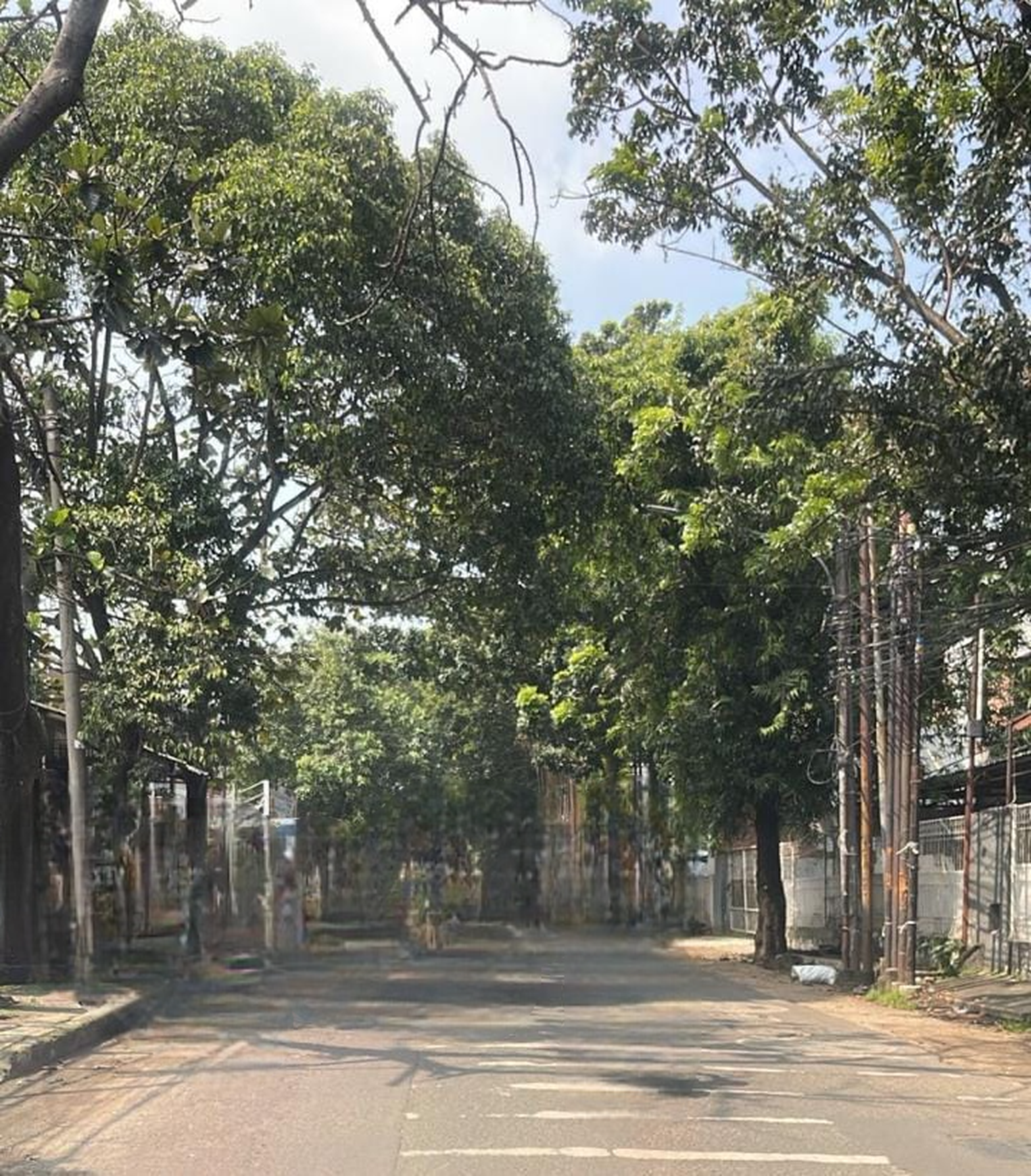 Rumah tua siyap dibangun untuk  rumah tinggal atau kost2an exclusive diantara gedung2 perkantoran