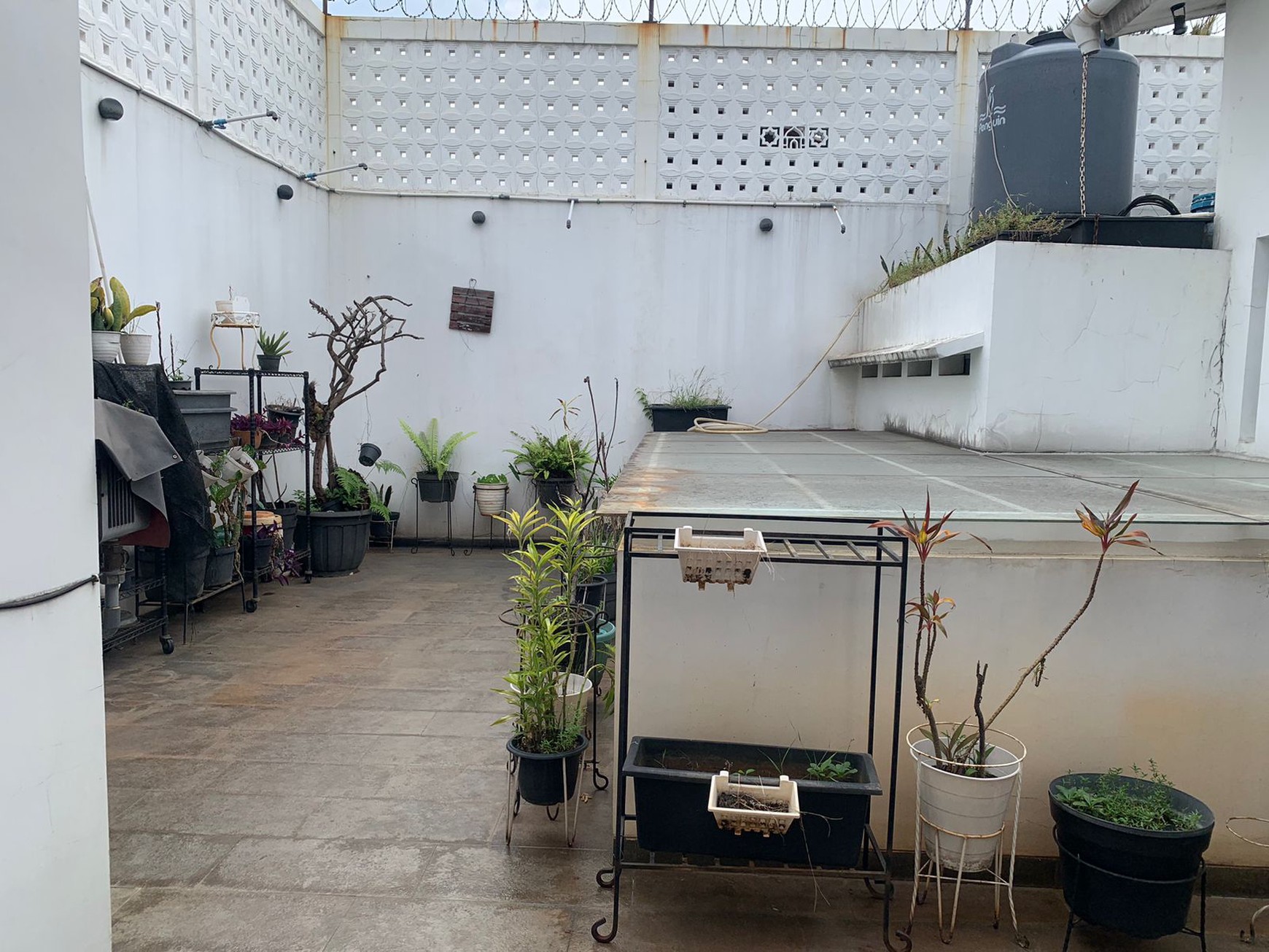 Dijual Rumah Asri di Bukit Cinere Indah - Lokasi Strategis dan Nyaman