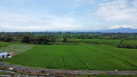 leasehold -Land in Munggu,Seseh