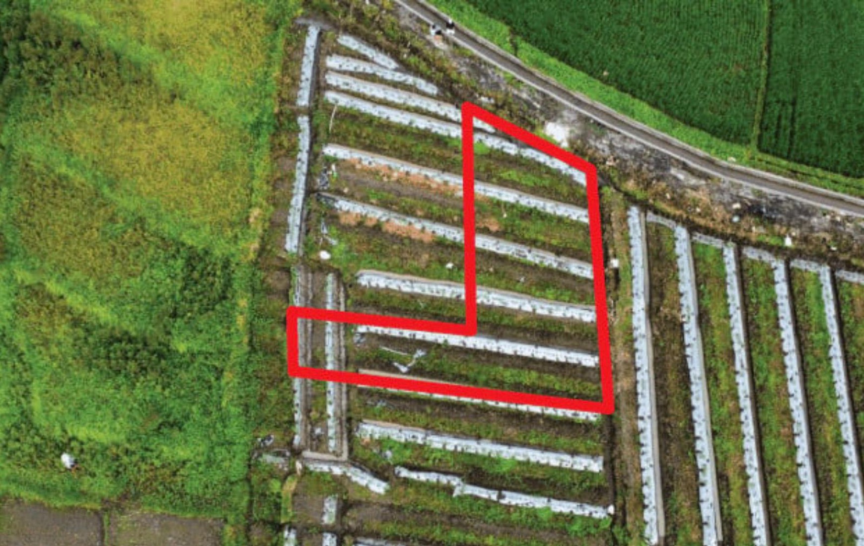 leasehold -Land in Munggu,Seseh