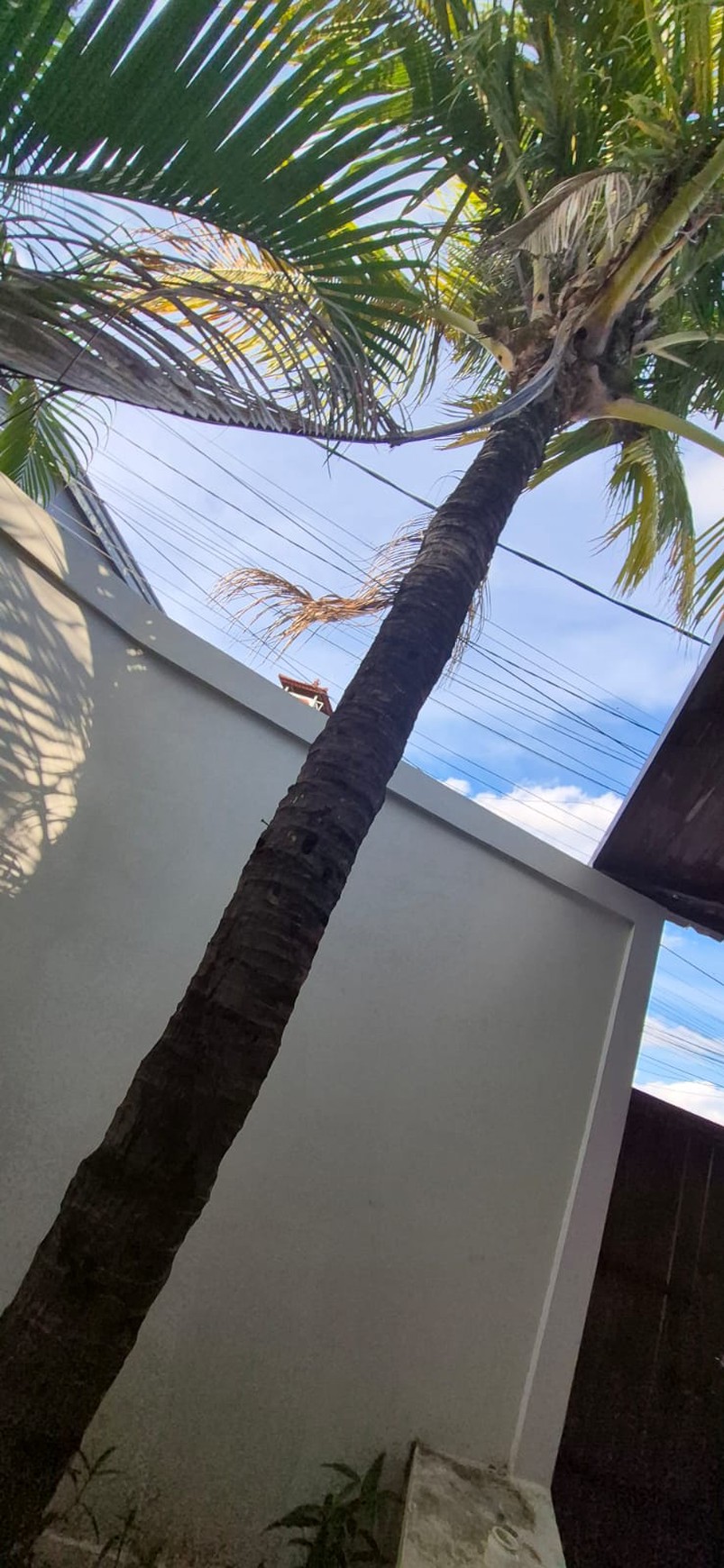 Rental - A modern villa in prime area Kerobokan, Bali