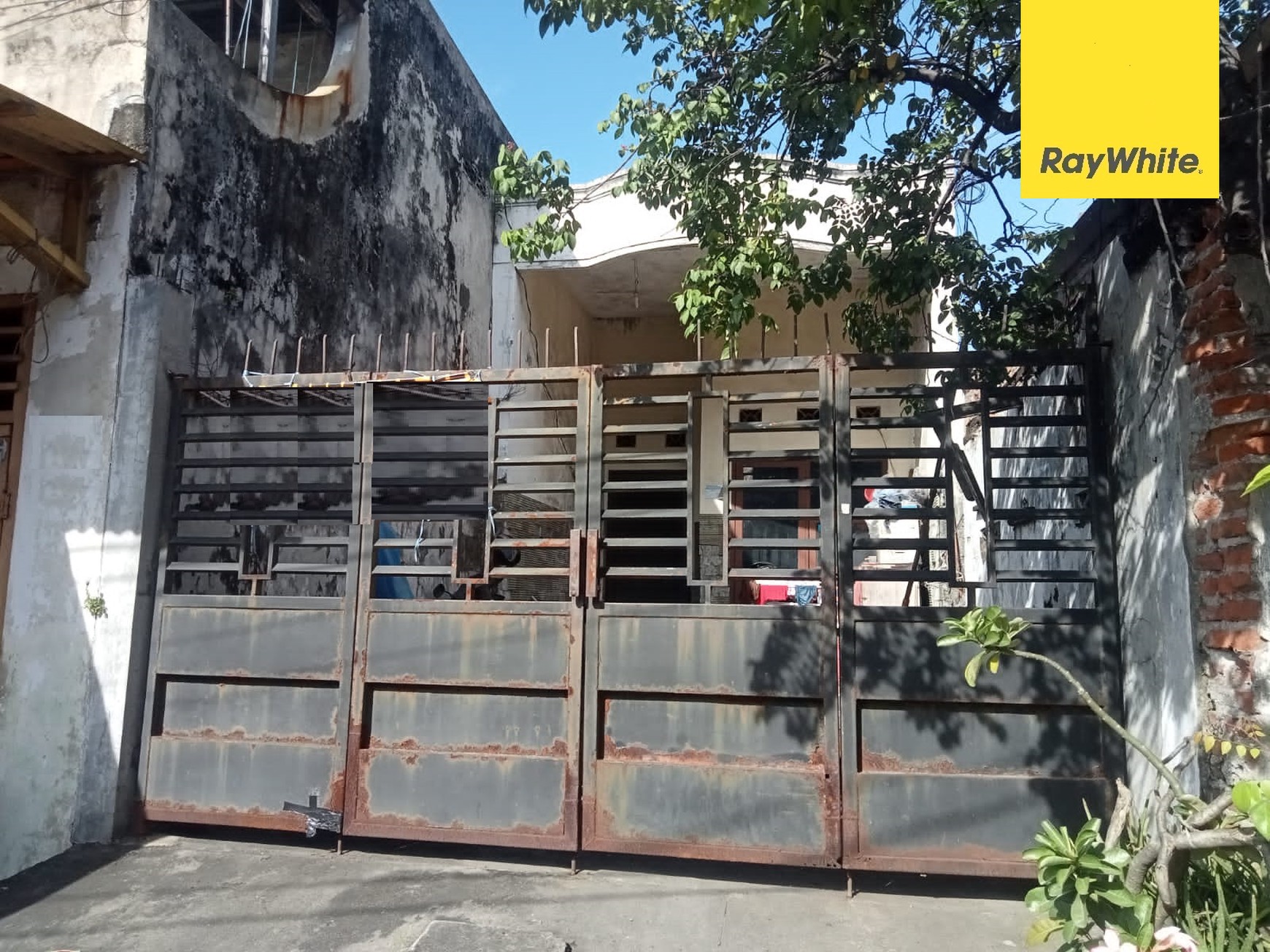 Dijual Rumah Dijalan Petemon Kali Surabaya
