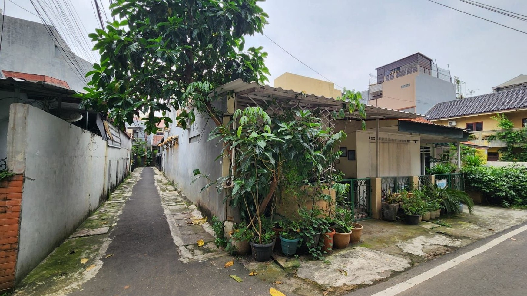 Rumah depan taman cocok untuk kost an di Bendungan Hilir JakPus