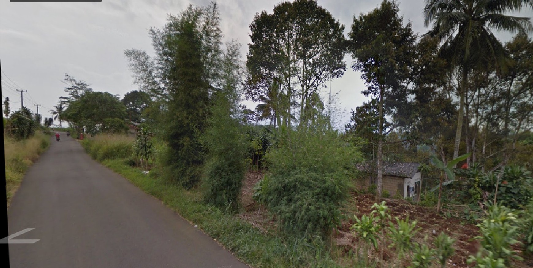 DIJUAL kebun Duren di Parung Kuda, Sukabumi, Dekat keluaran Tol