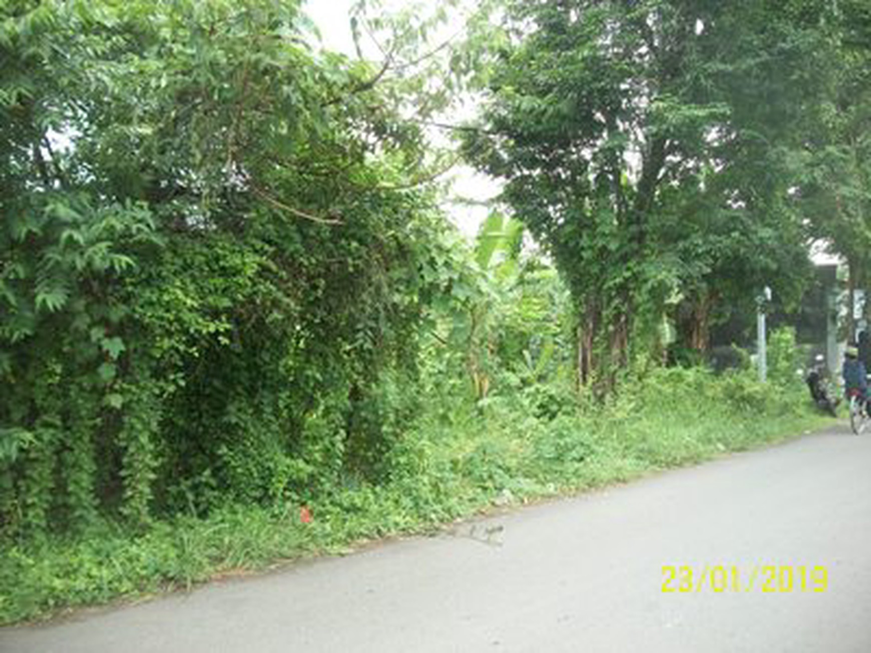 Tanah di Bulu Sidokare, uk. 4,5 x 24 M, ada 4 Kavling, Lokasi bagus dkt Jalan Lingkar Timur, dkt Pergudangan, dkt Pusat Kota, untuk Usaha