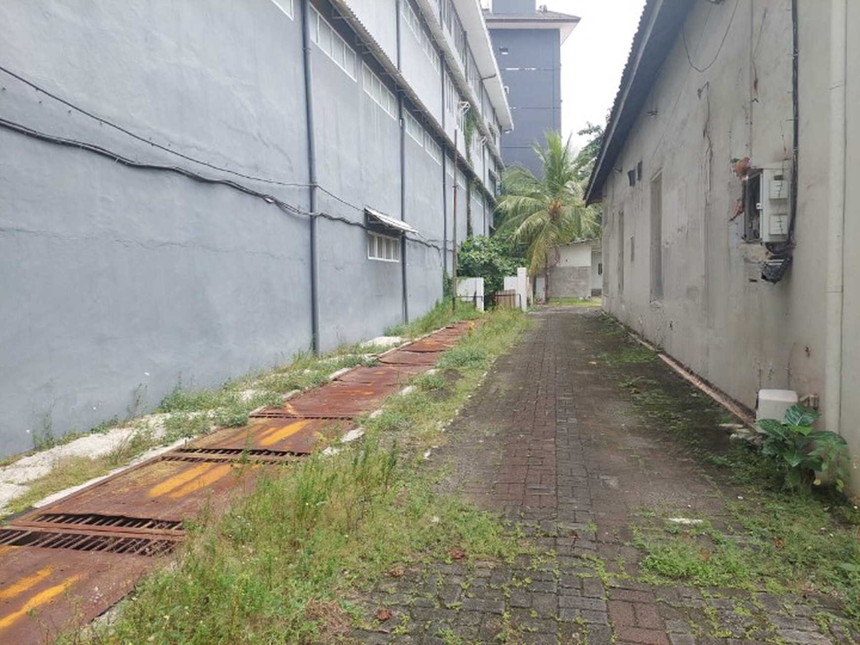 Rumah di sewakan Jalan Mawar Cocok untuk usaha 350 juta / tahun nego