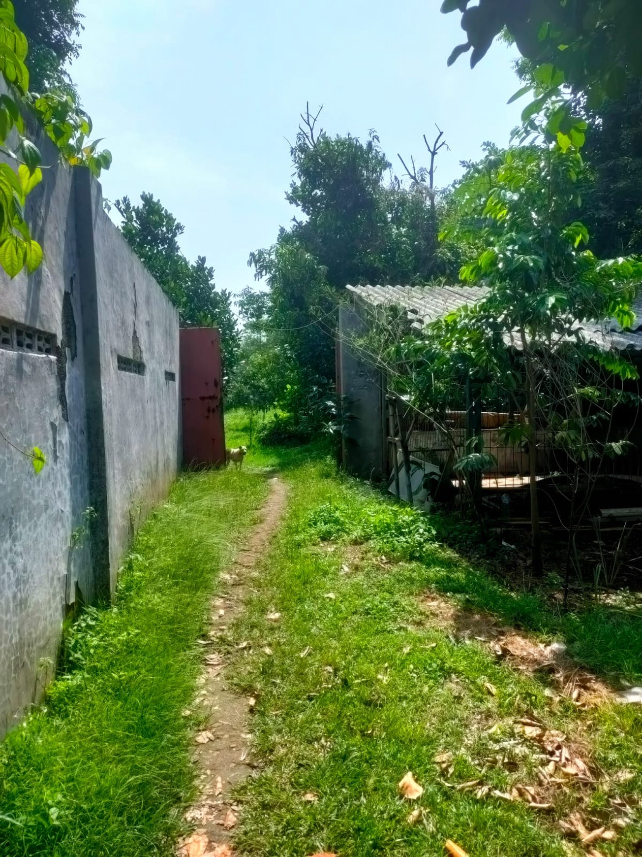 Dijual Tanah di Desa Sari Mulya Kota Baru karawaci