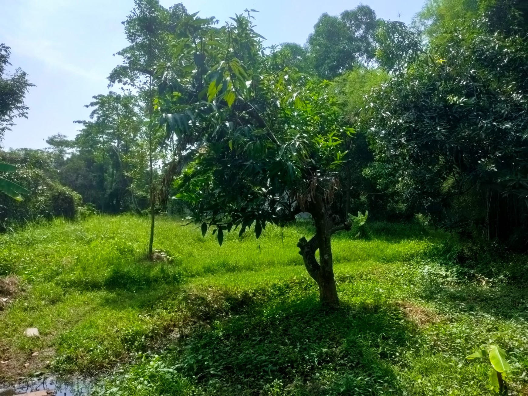 Dijual Tanah di Desa Sari Mulya Kota Baru karawaci