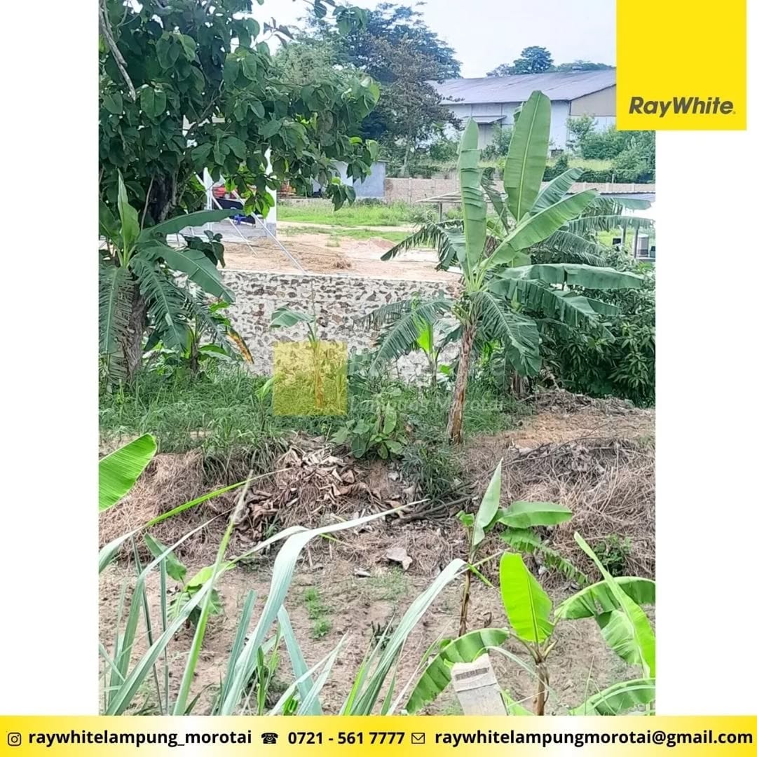 DIJUAL TANAH DI TANJUNG BINTANG LAMPUNG SELATAN
