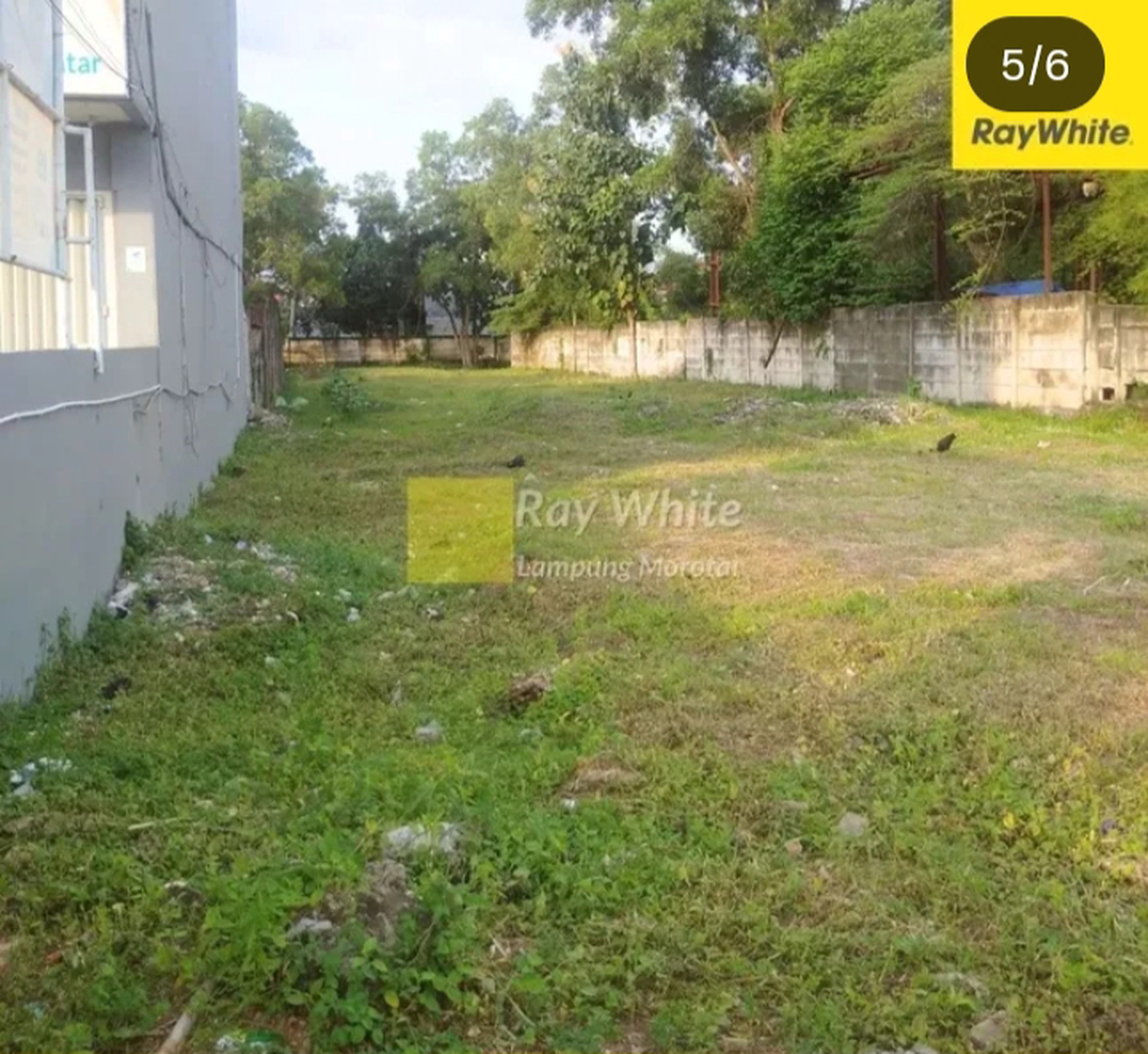Tanah kosong ukuran 1.460 meter ( 16 x 92 ) dijalan Raya Jalur dua Lintas Sumatera pasar Natar desa Merak Batin Natar, Lampung Selatan (Lampung)