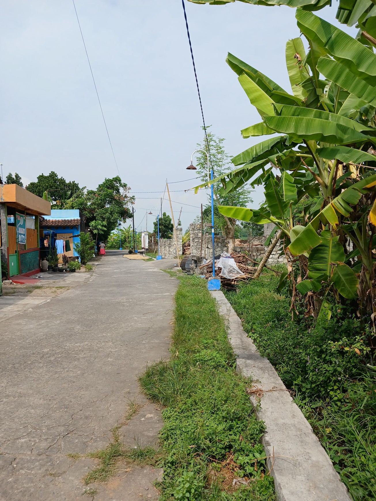 Tanah Sawah 628 Meter Persegi Lokasi SMAN 1 Jetis Bantul