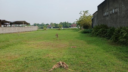 Tanah Sawah 628 Meter Persegi Lokasi SMAN 1 Jetis Bantul 