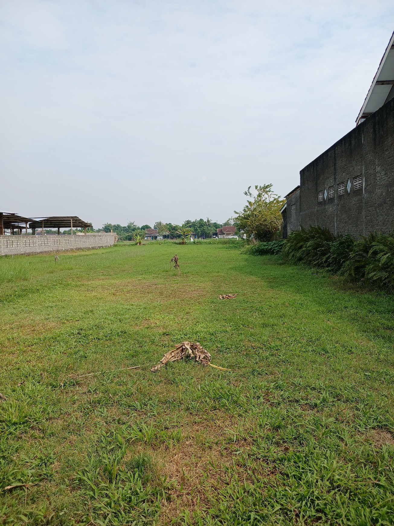 Tanah Sawah 628 Meter Persegi Lokasi SMAN 1 Jetis Bantul