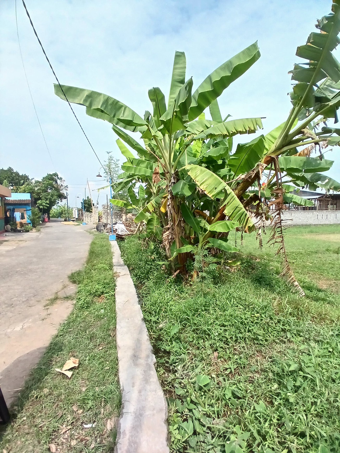 Tanah Sawah 628 Meter Persegi Lokasi SMAN 1 Jetis Bantul