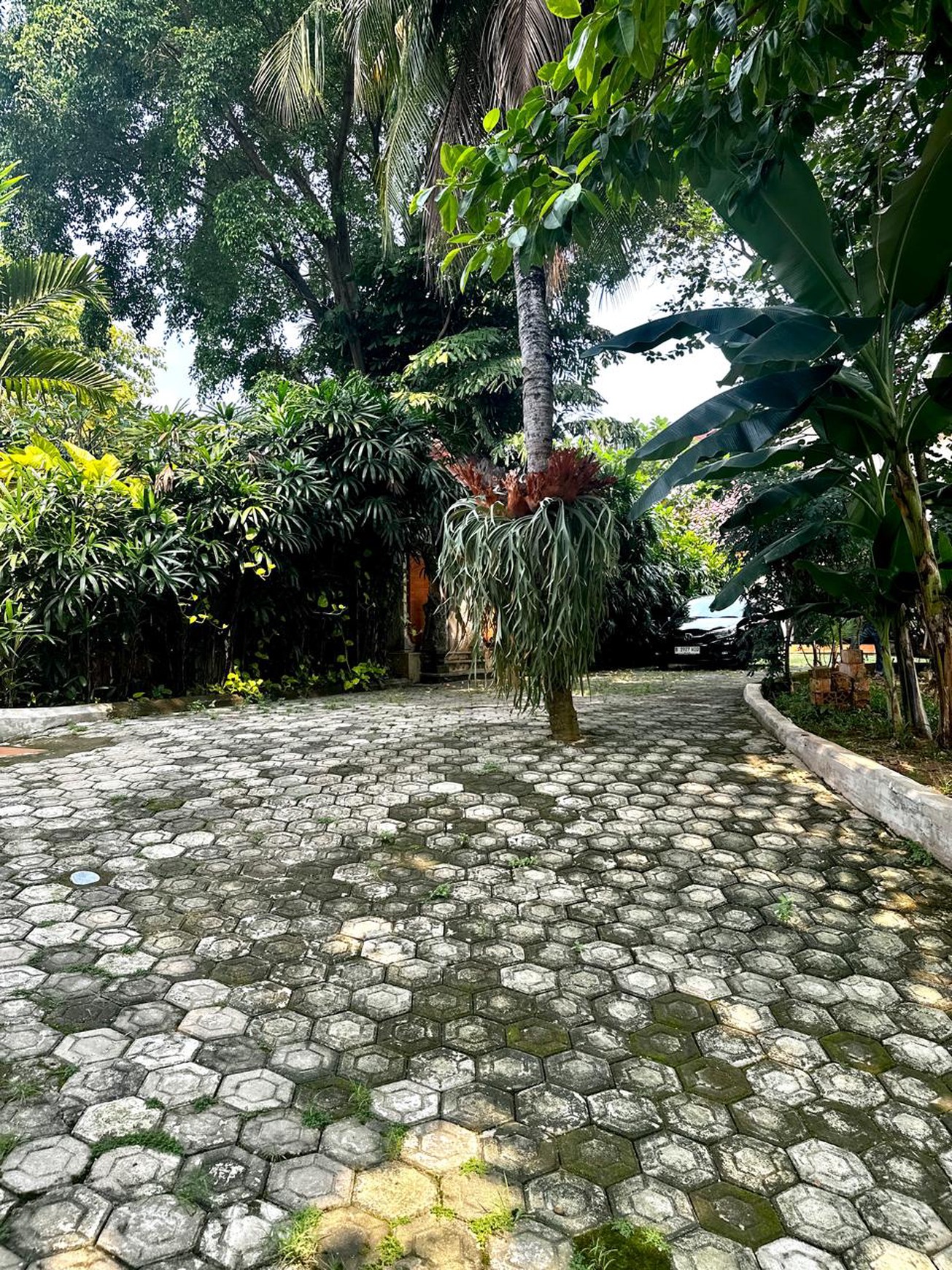 Rumah Mewah Gaya Villa Hitung Tanah Bonus Bangunan Bagus Di Bali View Cirendeu, Ciputat