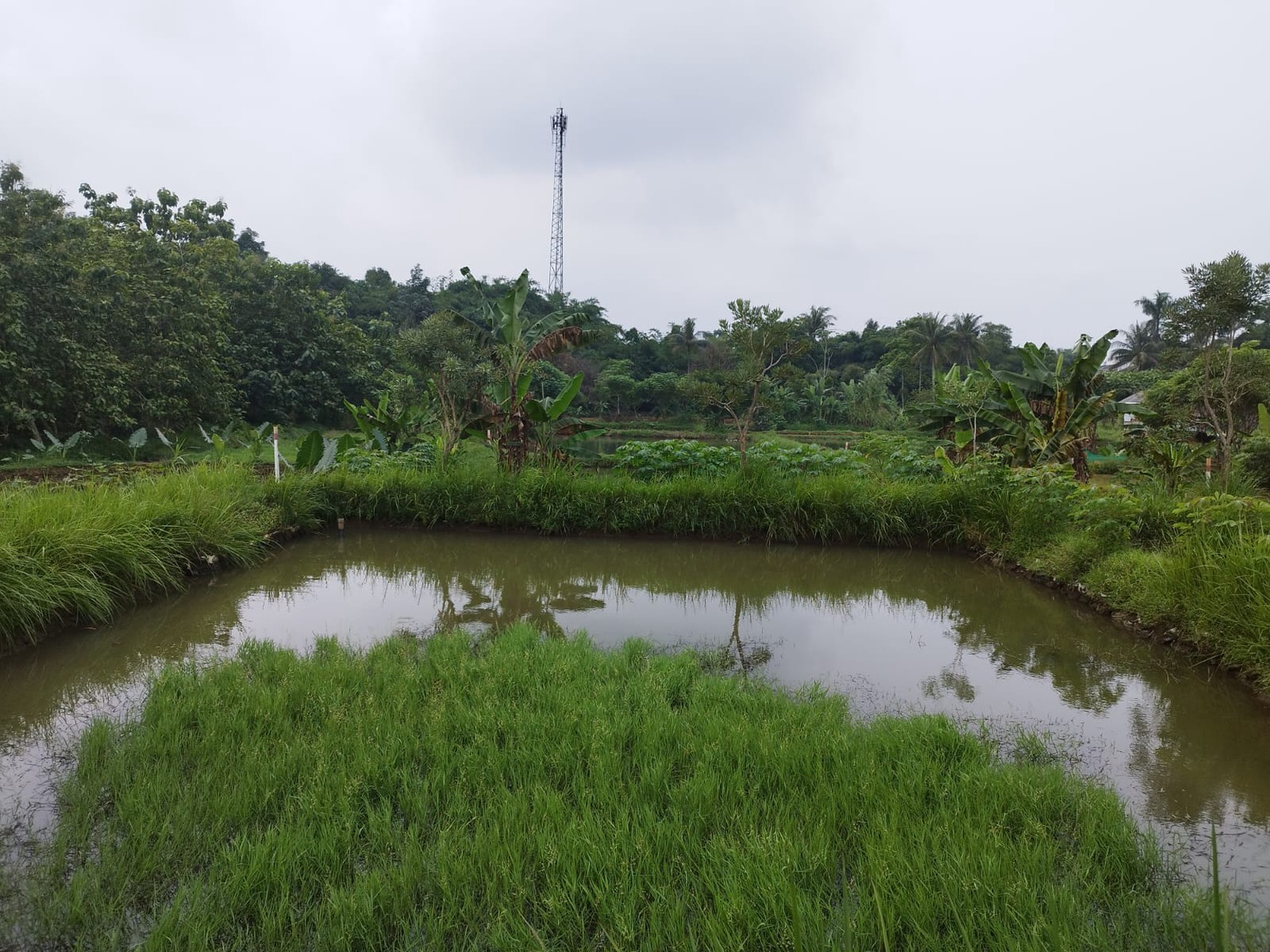 Kavling siap bangun di parung bogor