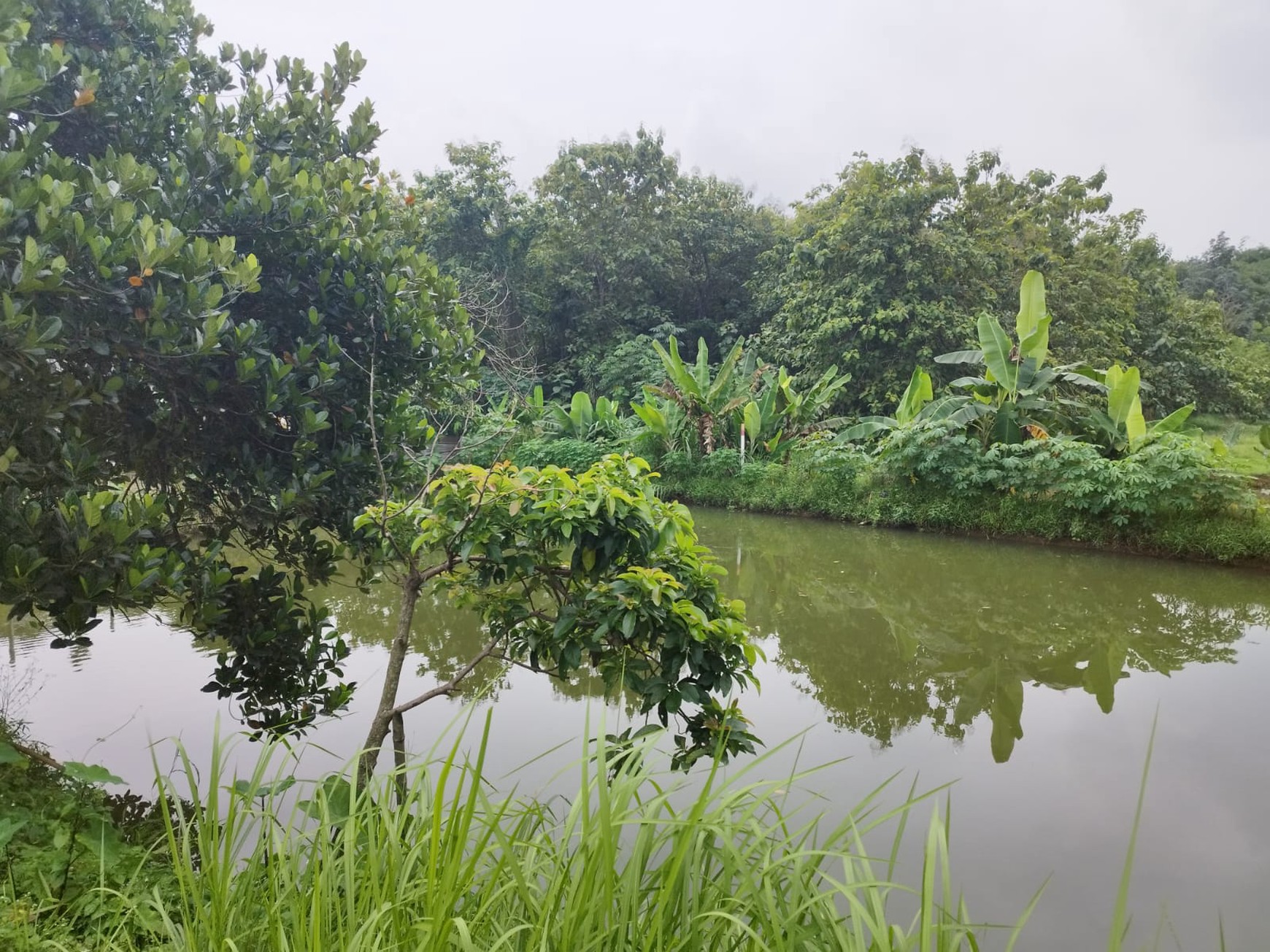 Kavling siap bangun di parung bogor