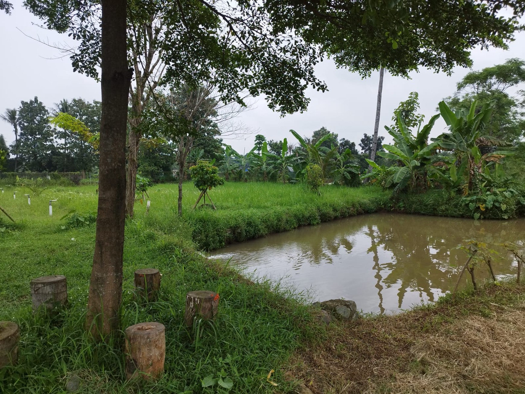 Kavling siap bangun di parung bogor