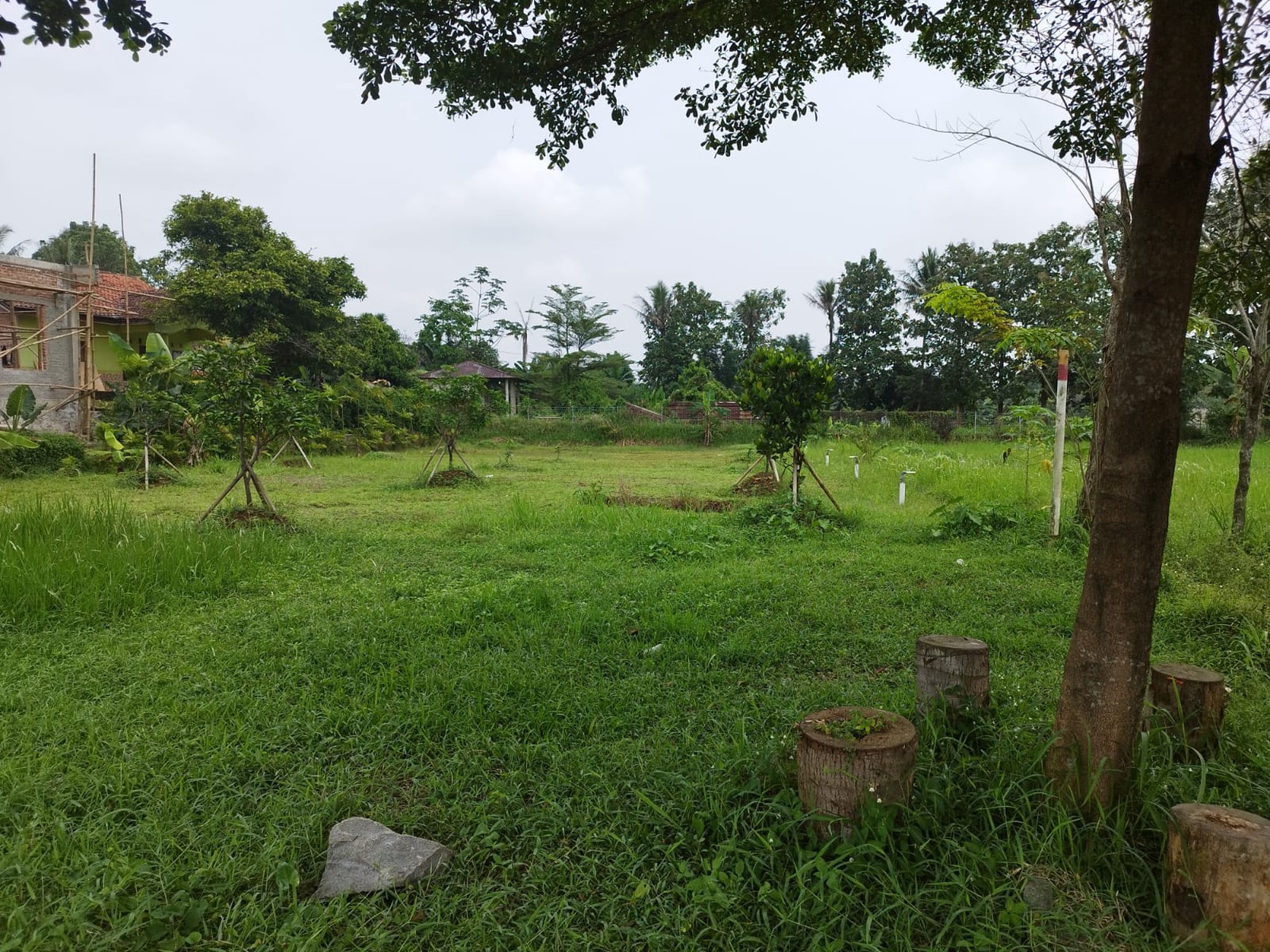 Kavling siap bangun di parung bogor