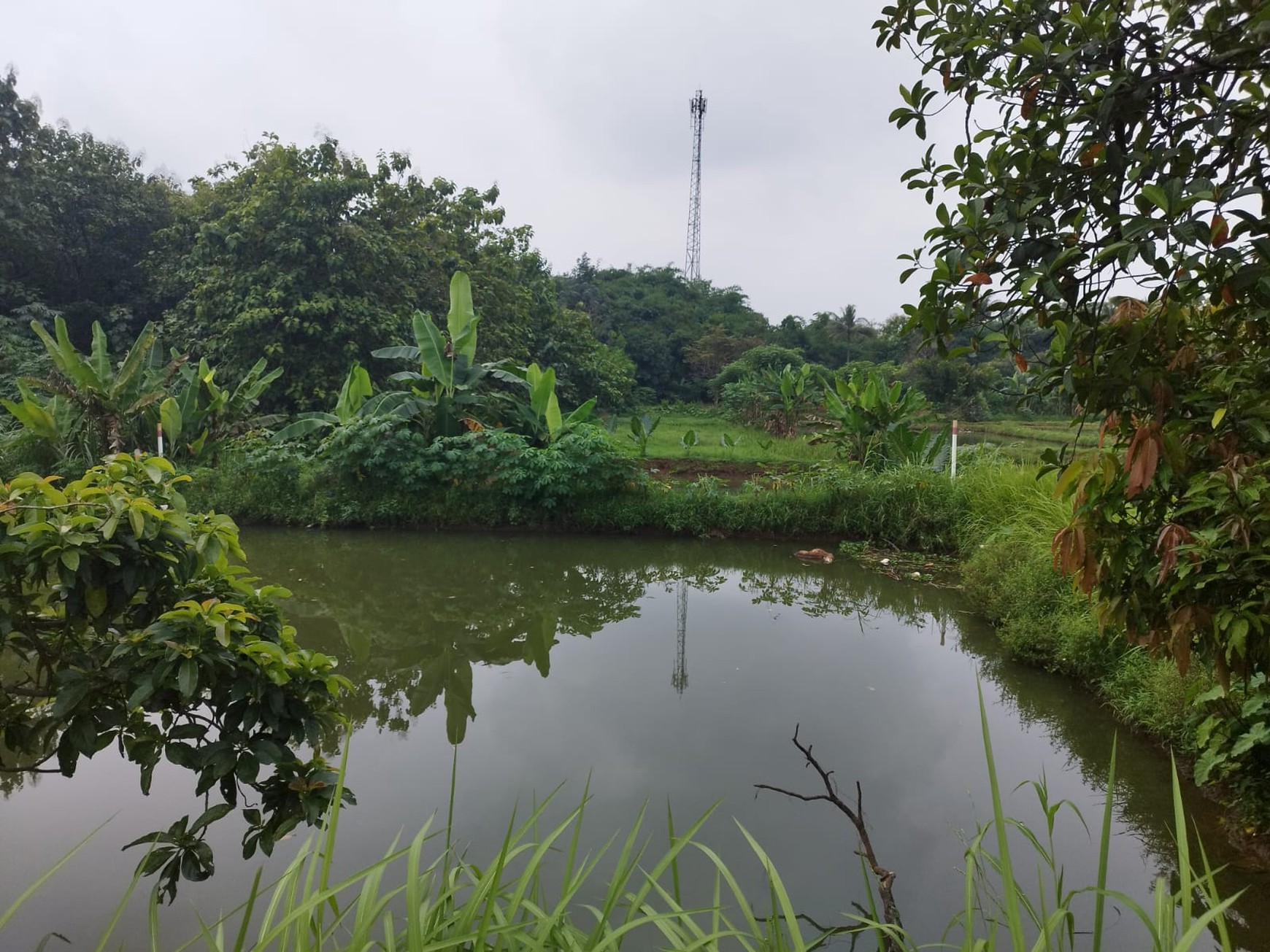 Kavling siap bangun di parung bogor