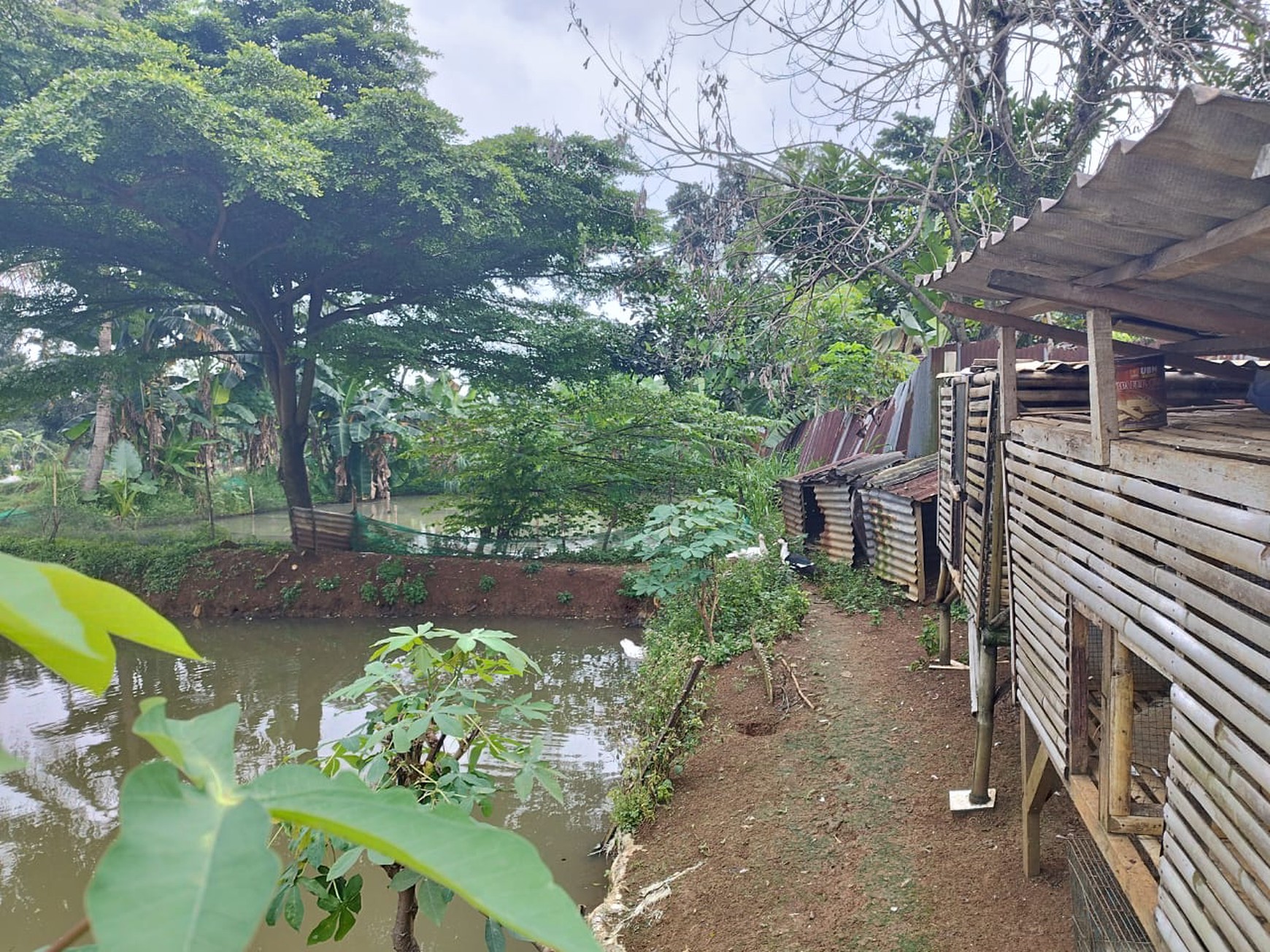 Kavling siap bangun di parung bogor