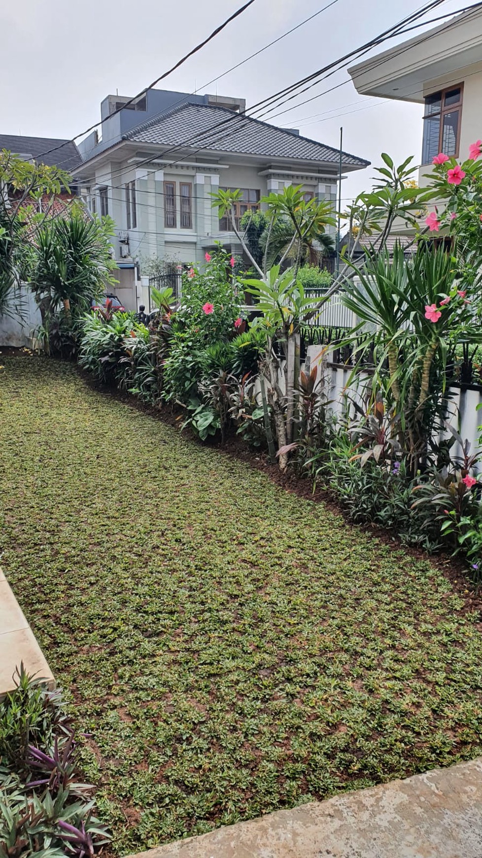 Rumah Mewah di Cipete Luas 670m2 Halaman Belakang Luas