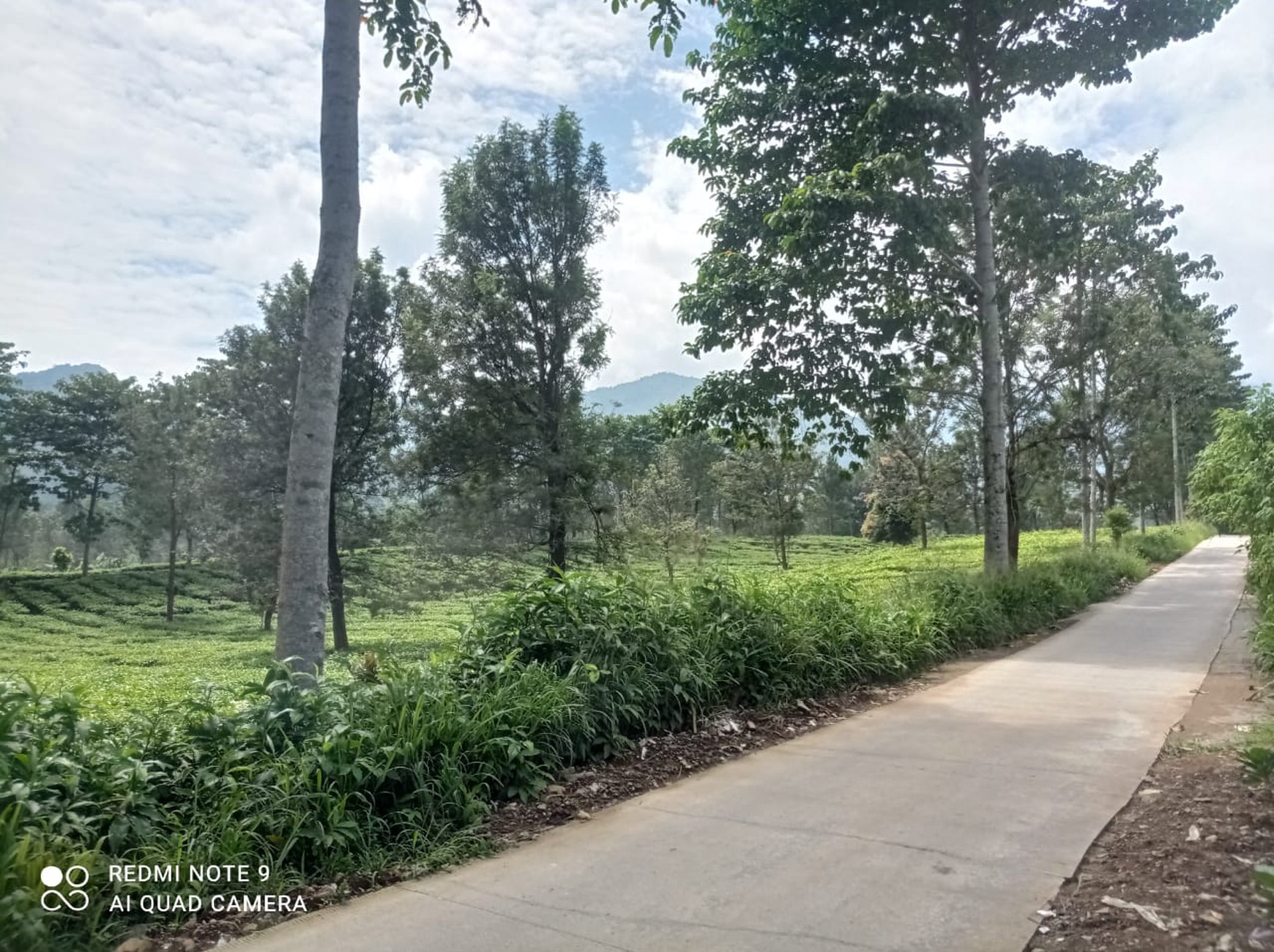 Kavling 1,2Ha cocok untuk Villa/Hotel di Puncak Bogor