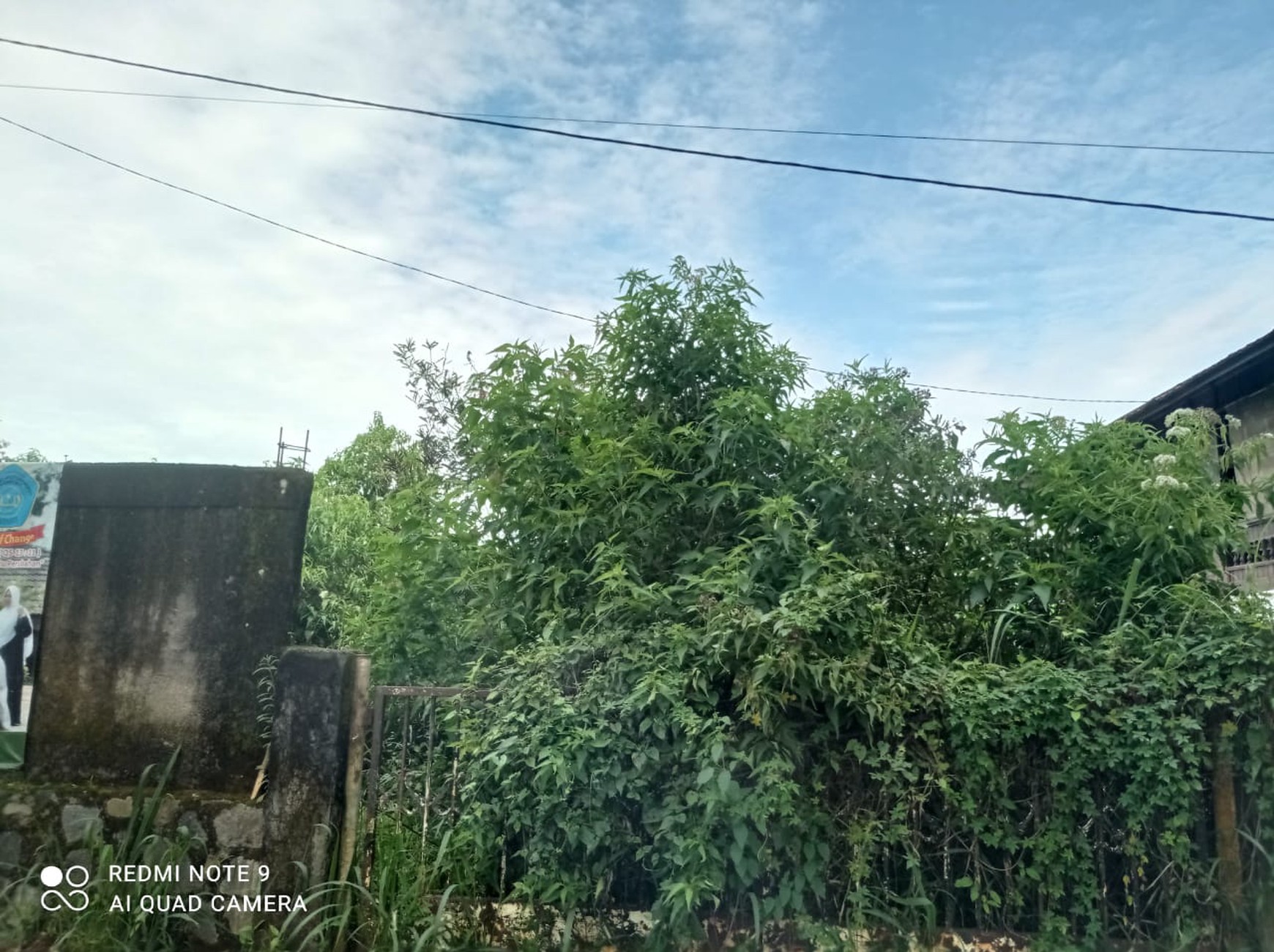 Kavling 1,2Ha cocok untuk Villa/Hotel di Puncak Bogor