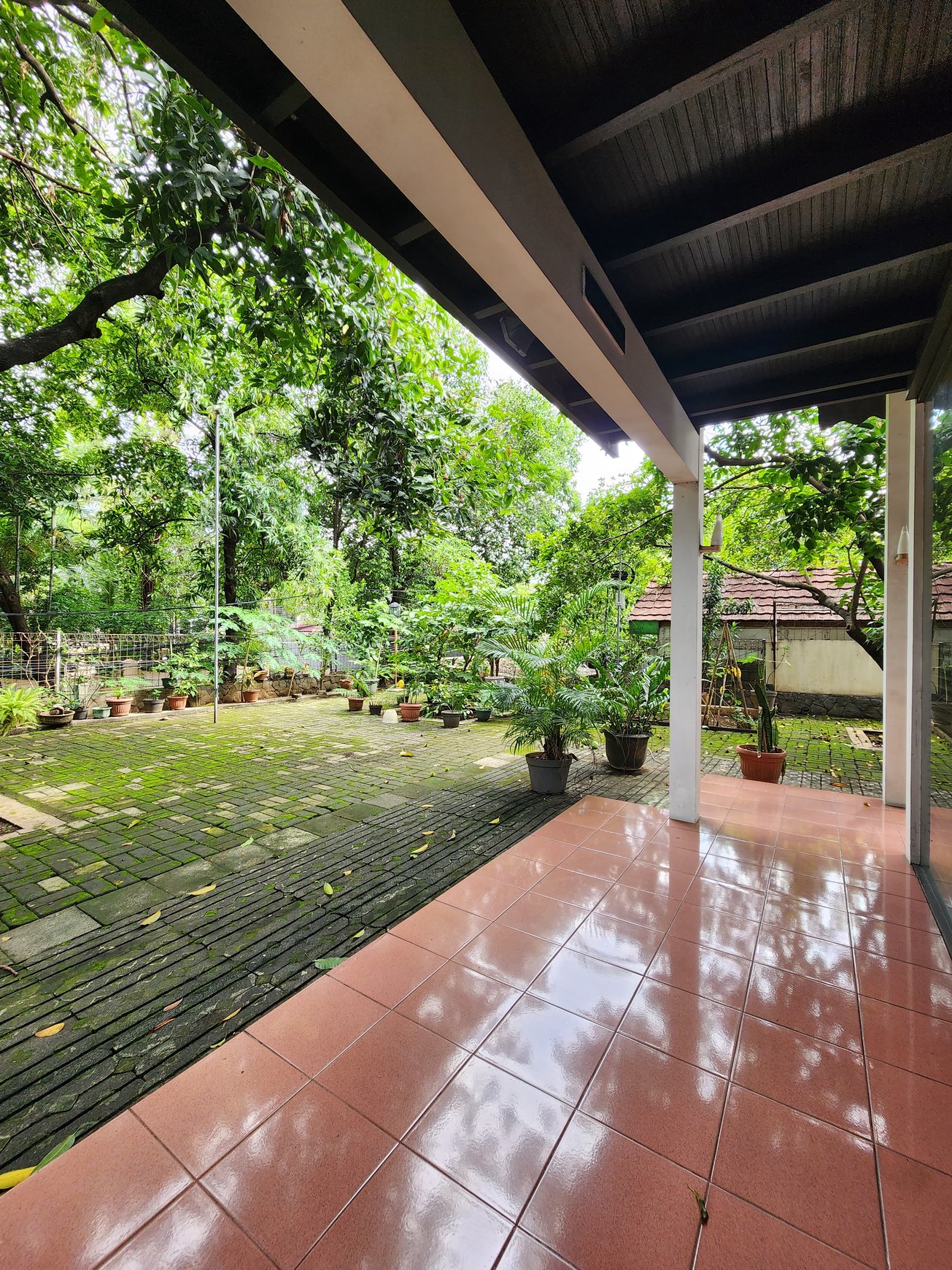 Rumah Nuansa Etnik Halaman Luas di Cipete Siap Huni