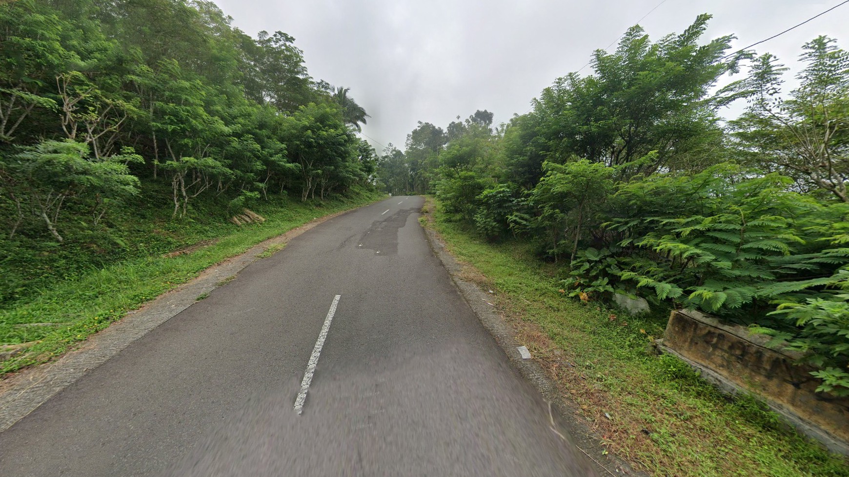 Tanah Pekarangan 4875 Meter Persegi Diarea Wisata Kulonprogo