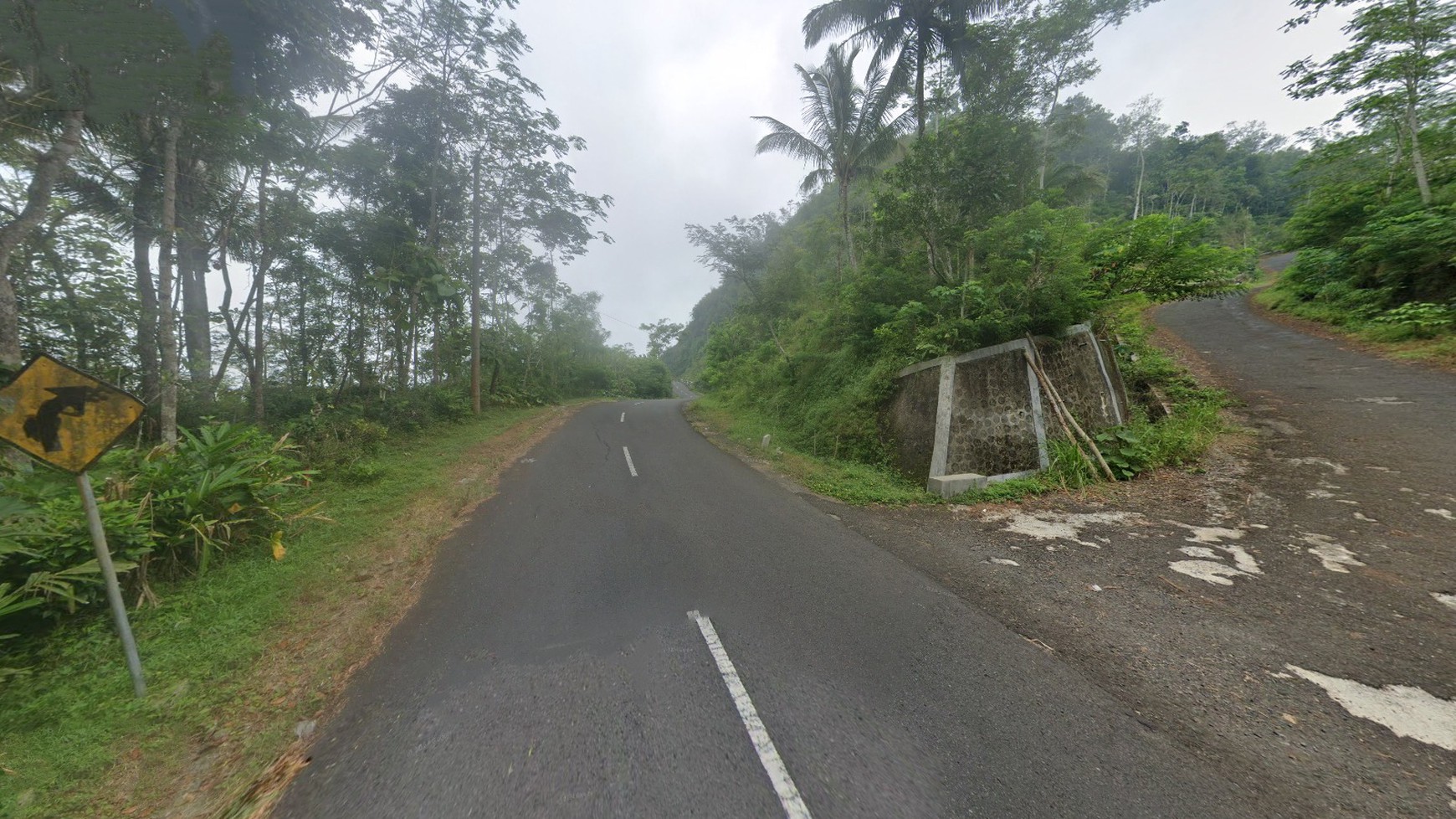 Tanah Pekarangan 4875 Meter Persegi Diarea Wisata Kulonprogo