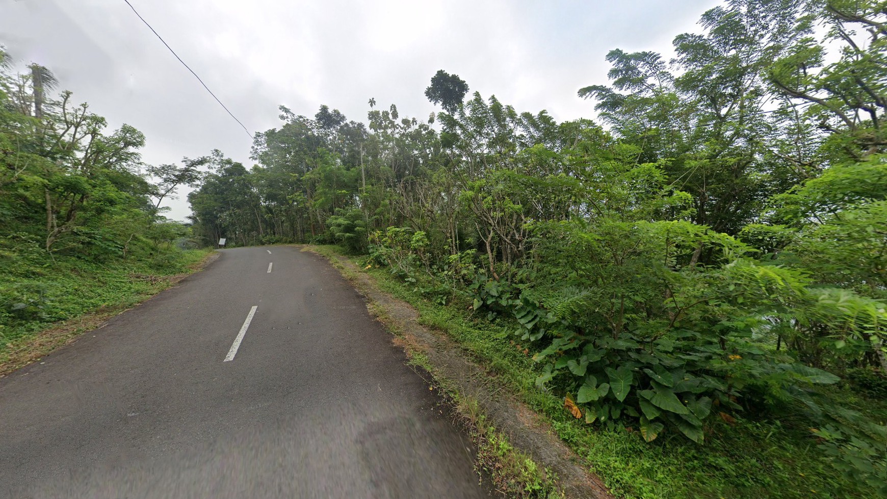 Tanah Pekarangan 4875 Meter Persegi Diarea Wisata Kulonprogo