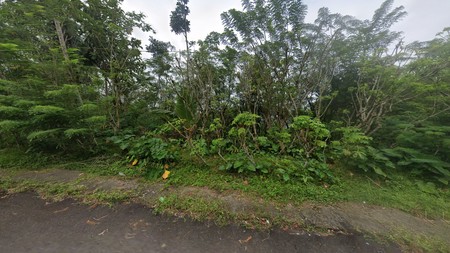 Tanah Pekarangan 4875 Meter Persegi Diarea Wisata Kulonprogo