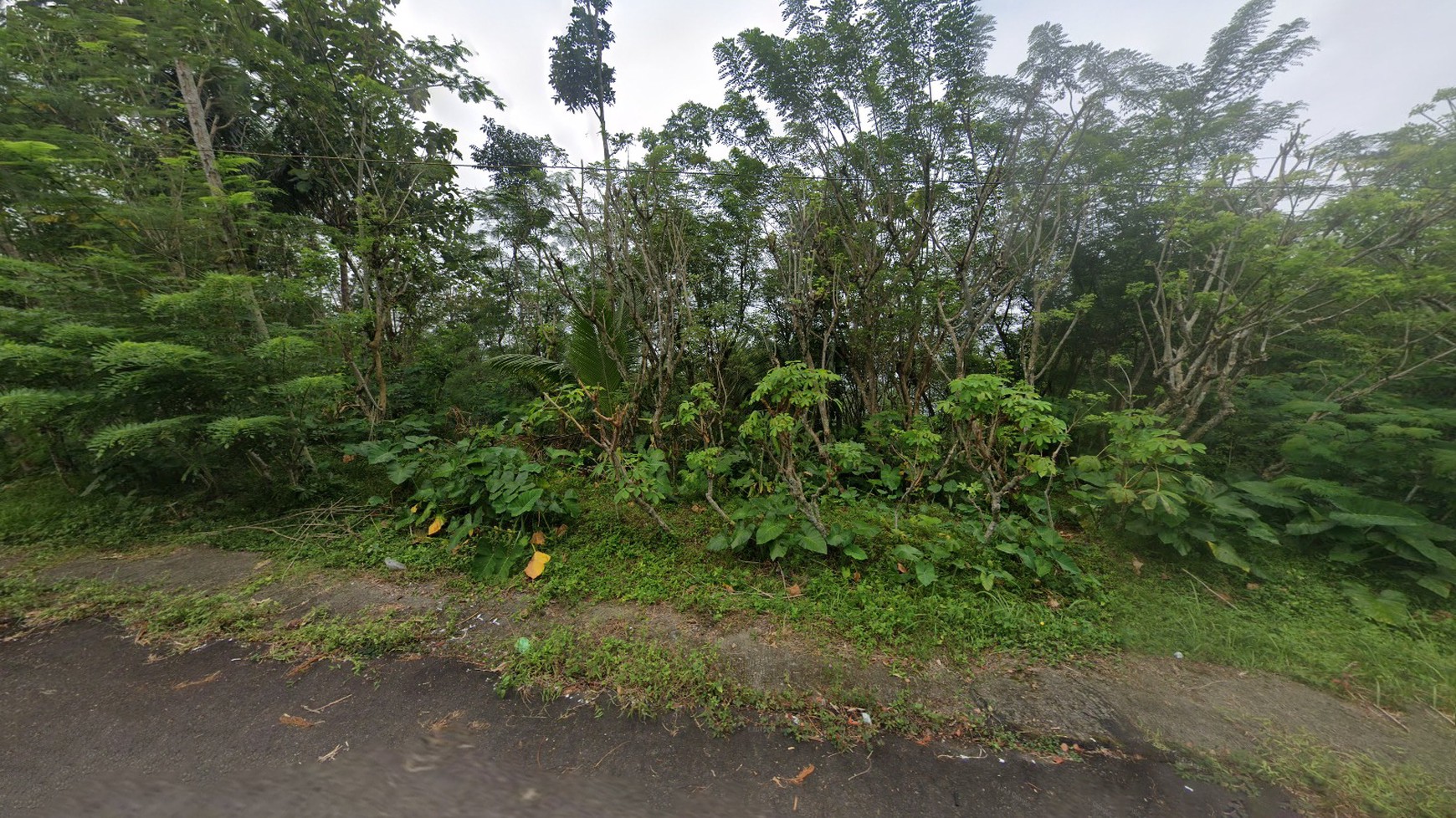 Tanah Pekarangan 4875 Meter Persegi Diarea Wisata Kulonprogo