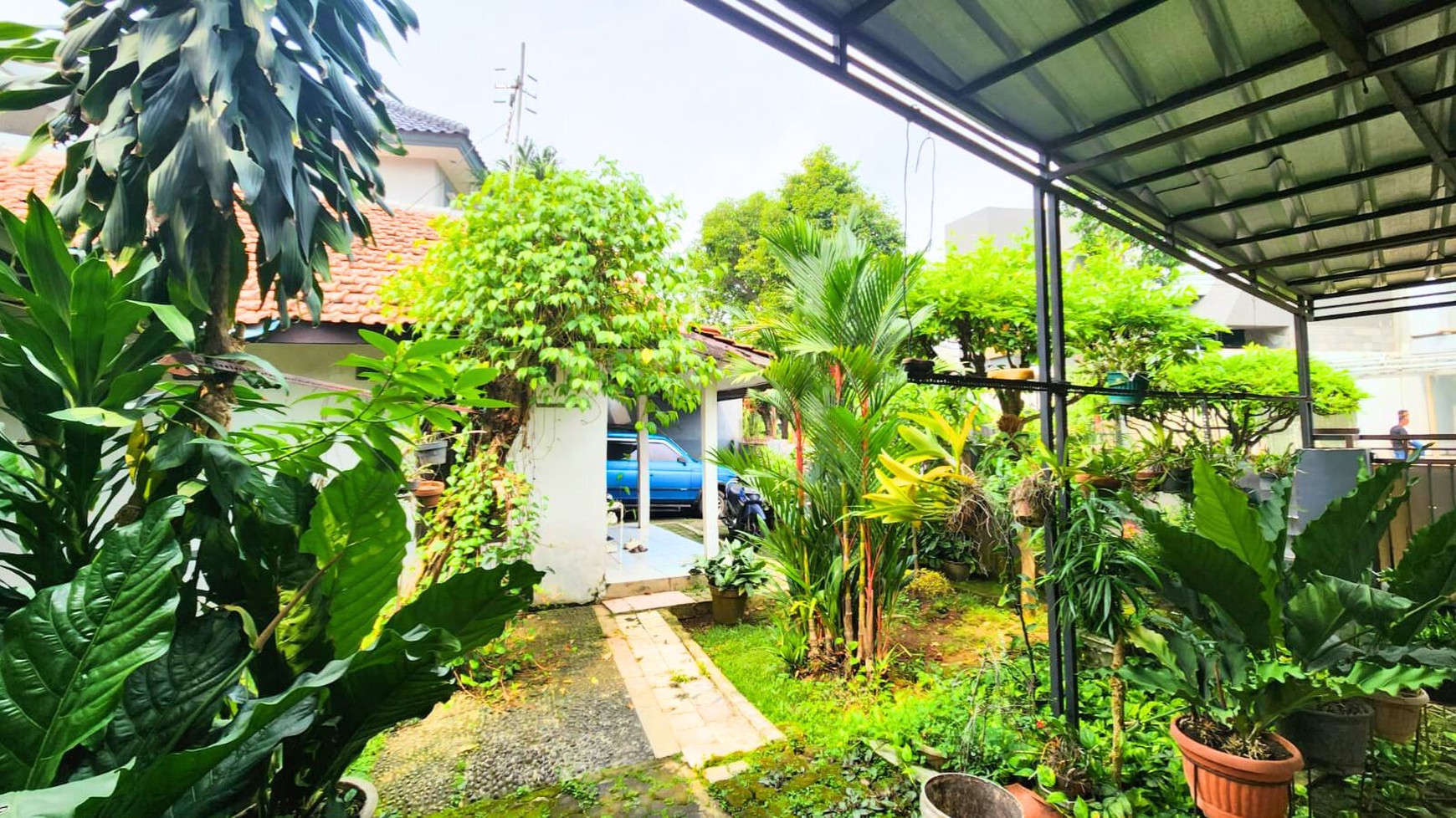 Rumah Lama sangat Asri dan Nyaman di Komplek Perdatam - Pancoran Jakarta Selatan